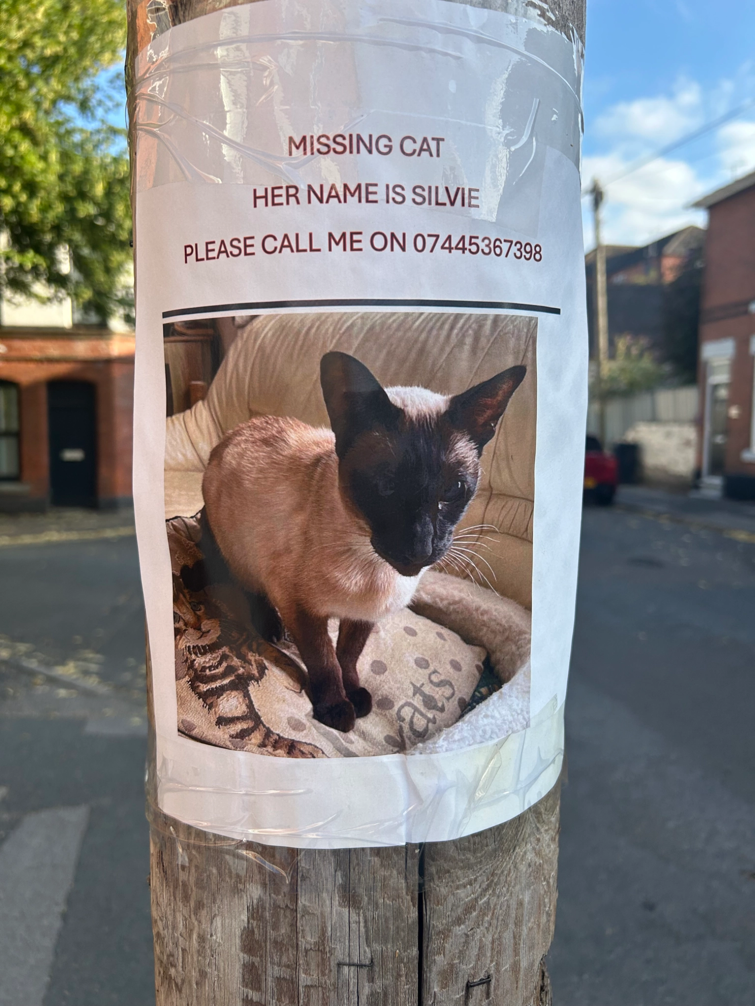 Slivei - Parliament Street, Derby