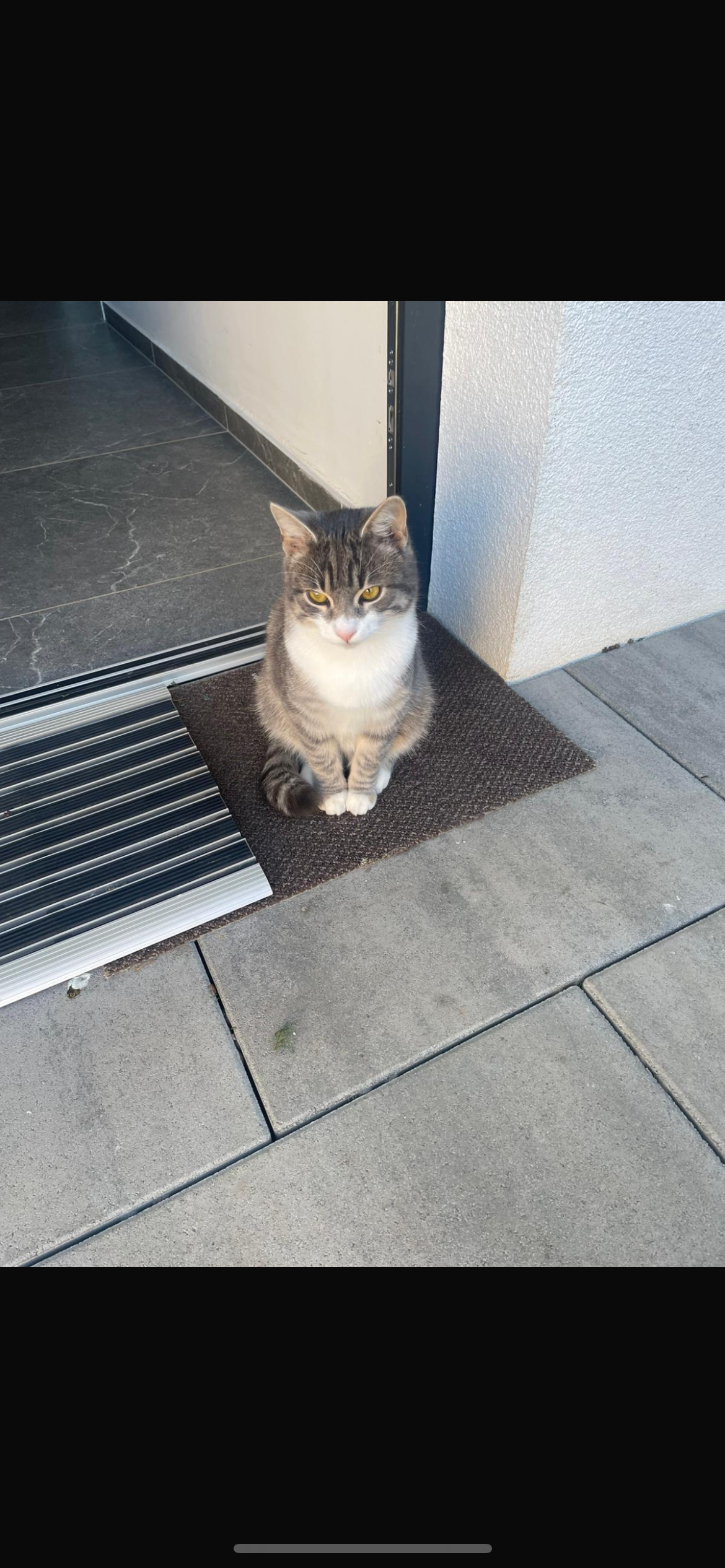 Kion - Bundesstraße, Wildon