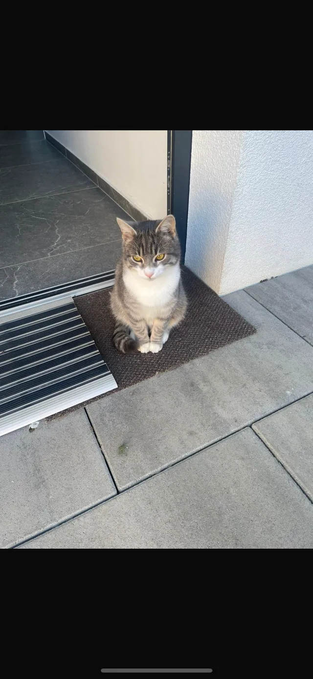 Kion - Bundesstraße, Wildon