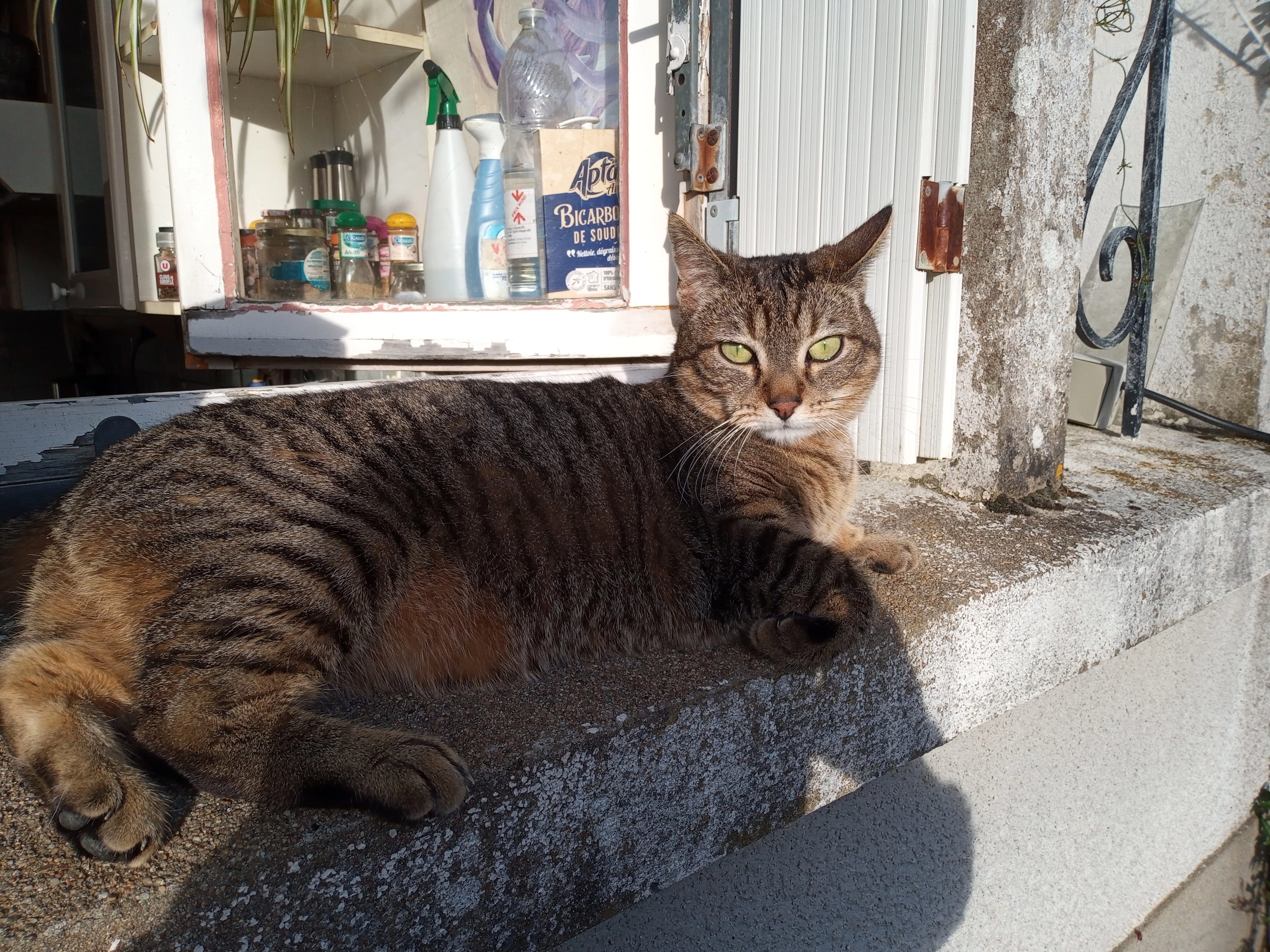 Patie - Rue de la Libération, Sèvremoine