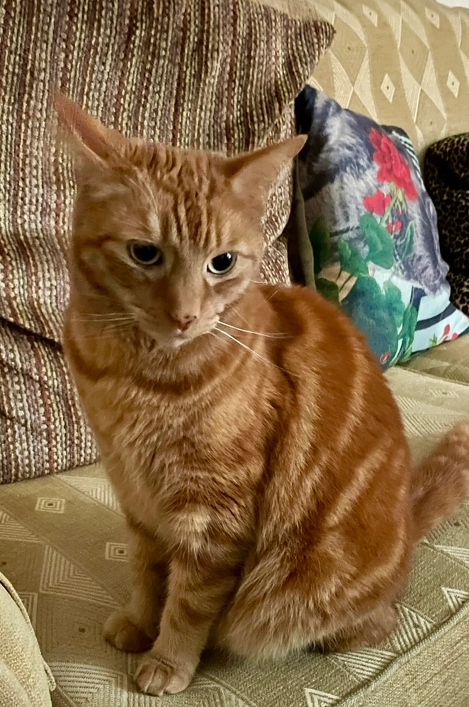 Steve - Leamington Road, Blackburn