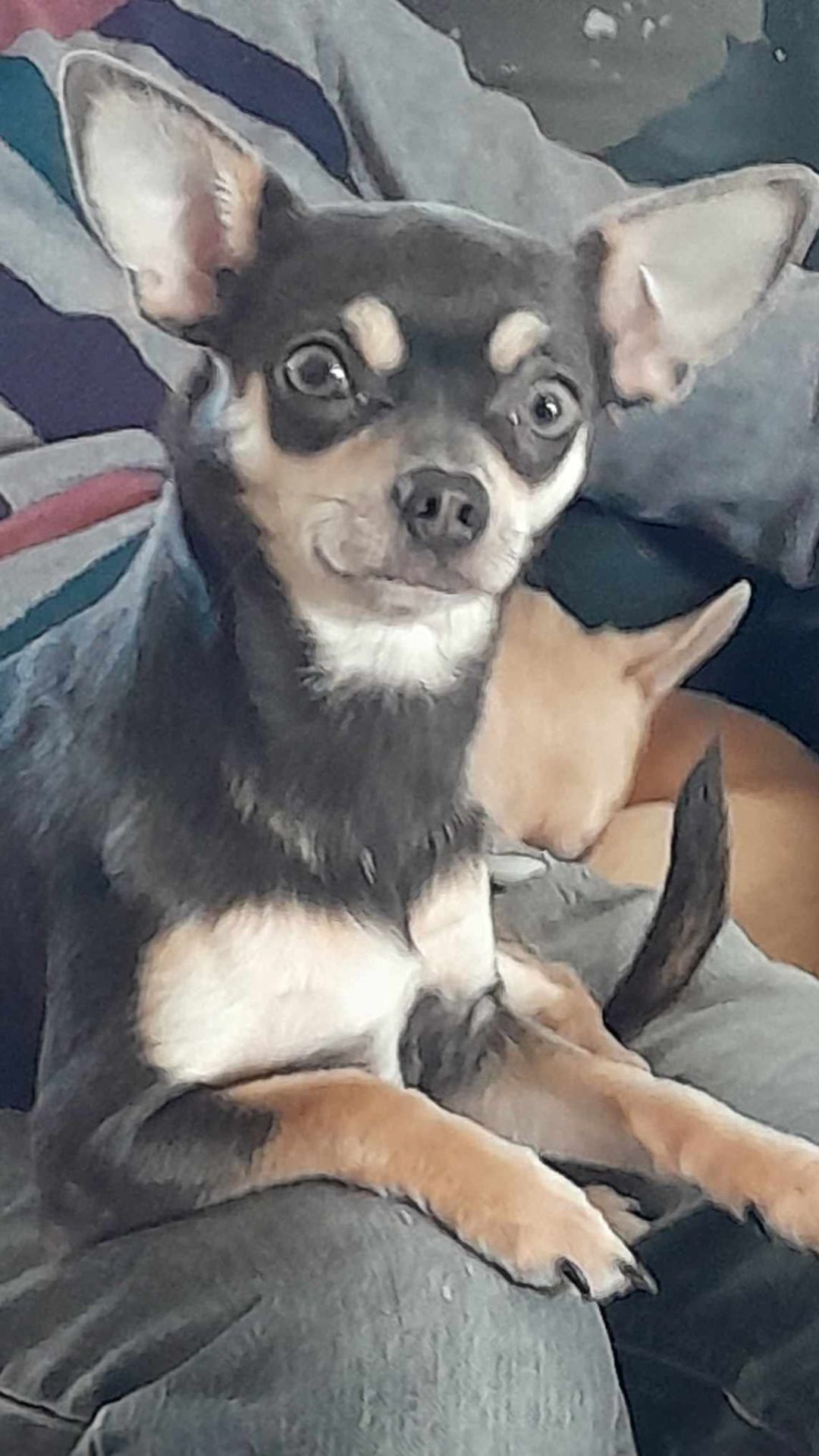 Blue - Rue Wilson, Colfontaine