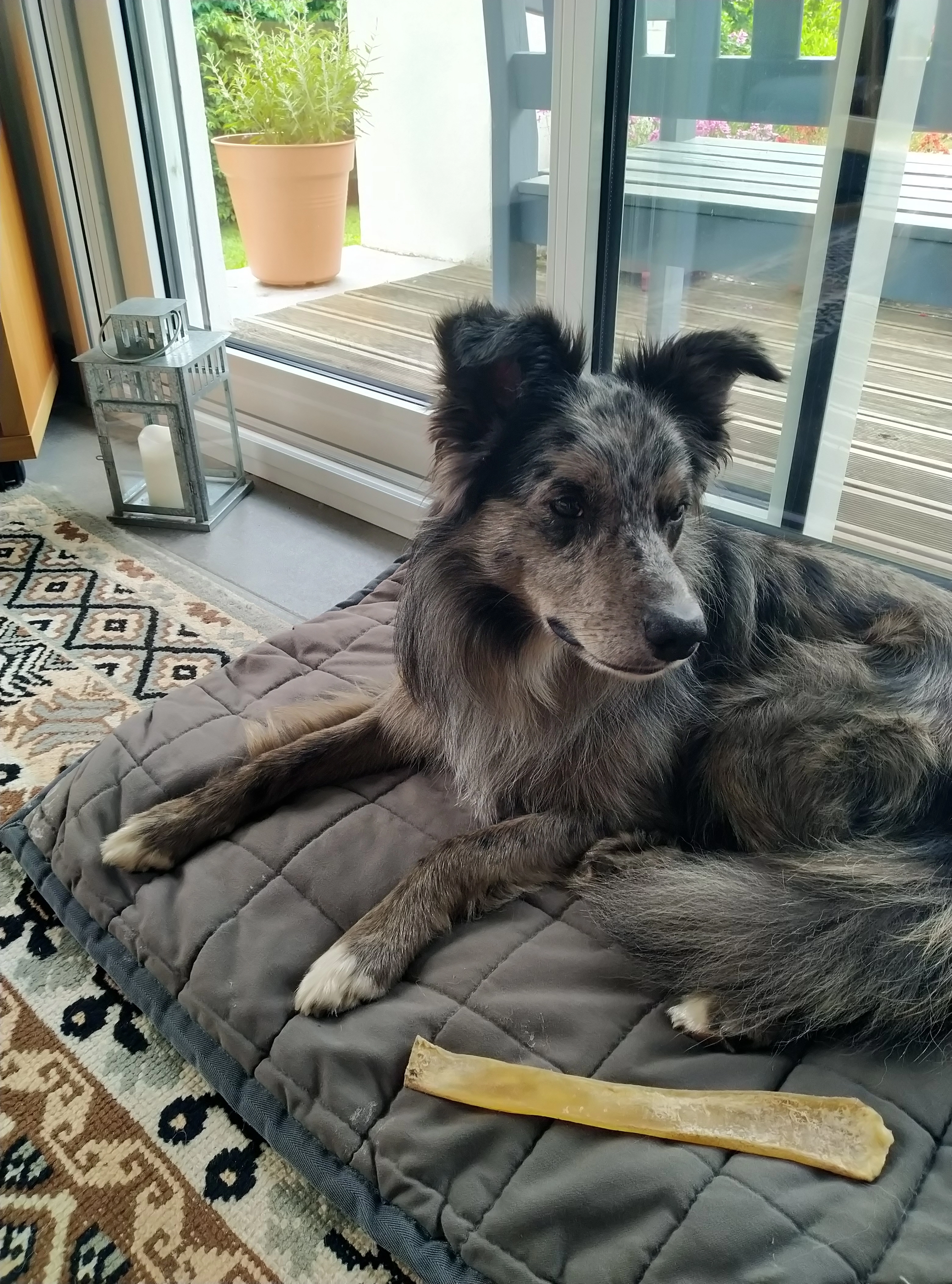 Milo - Allée Des Érables, Liège