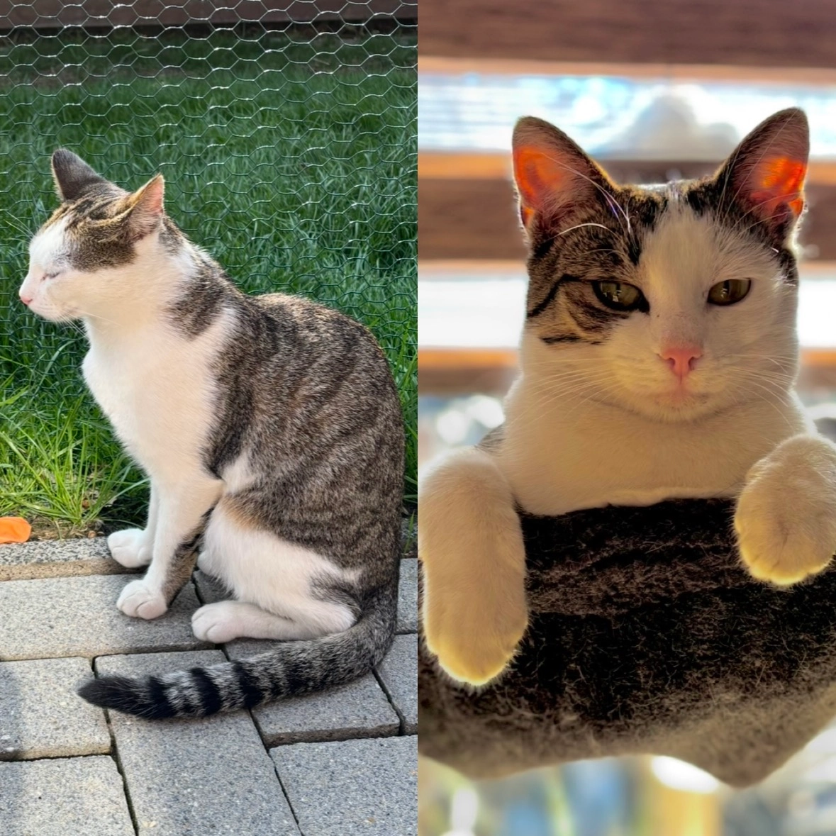 Tigga - Redenweg, Ibbenbüren