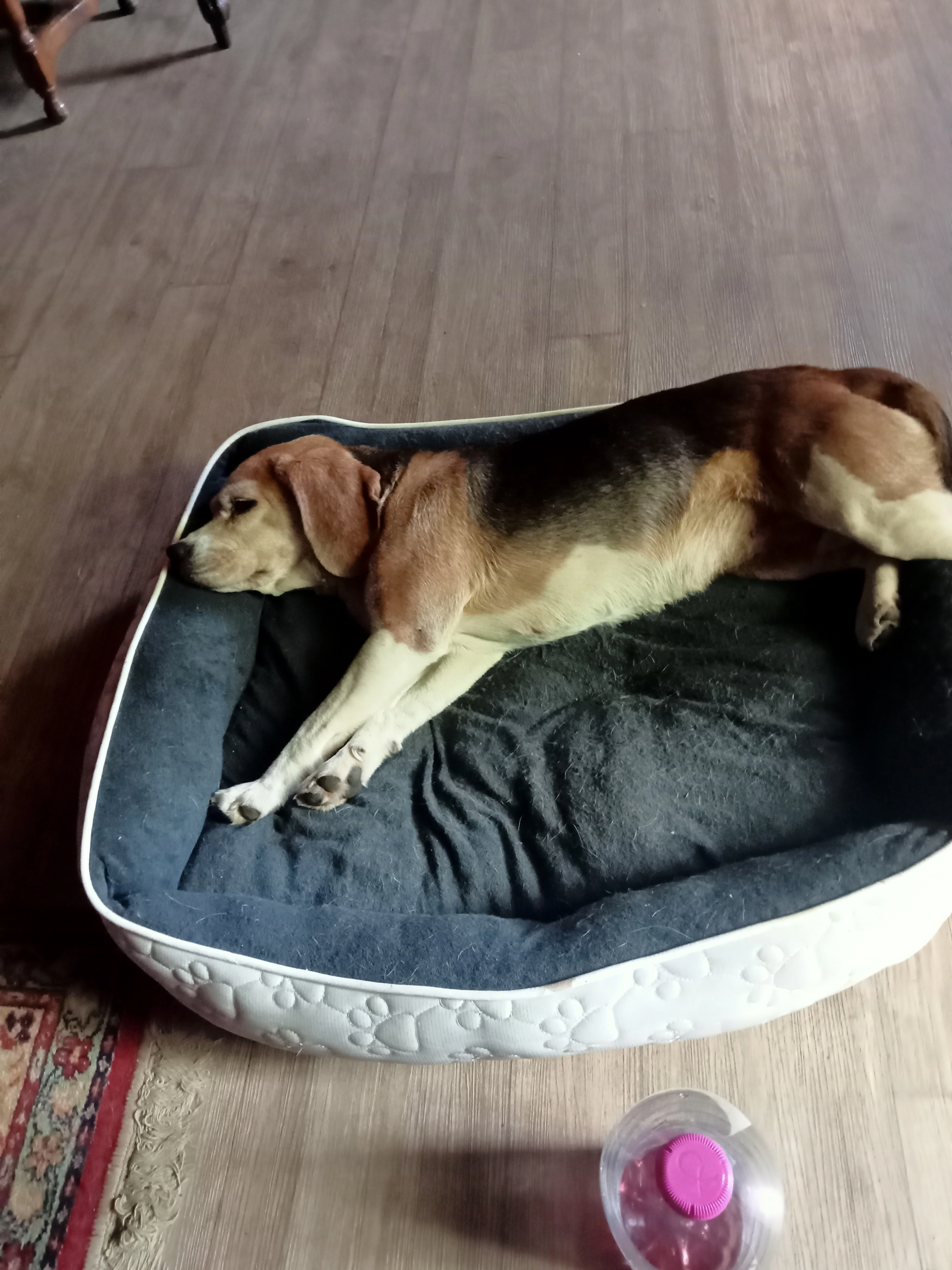 Looane  - Chemin De La Broudière, Hambers