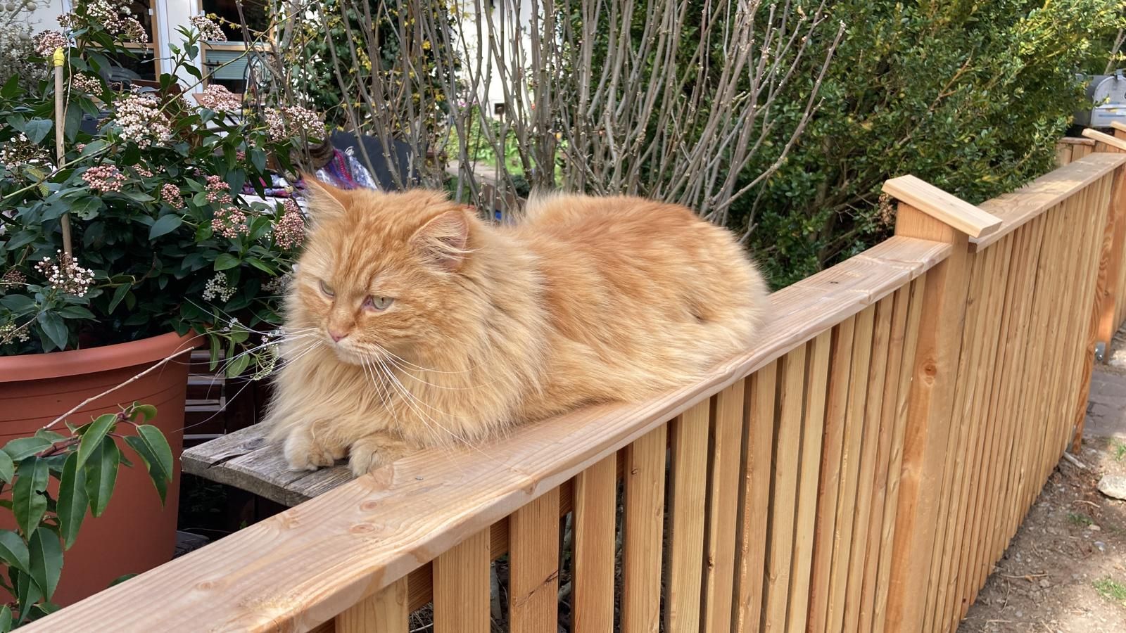 Peppino - Bachstraße, Waldbüttelbrunn