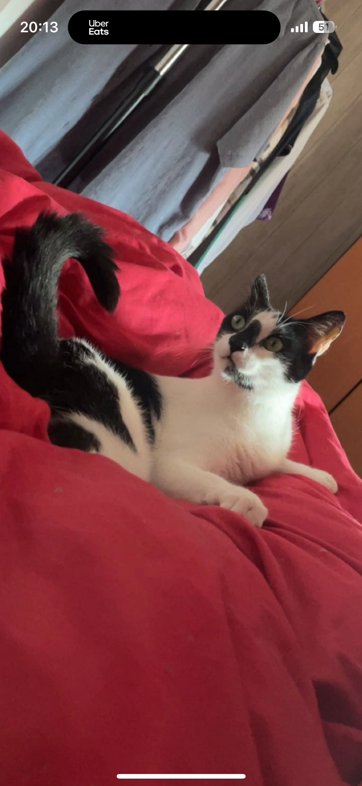 Horus - Rue Sainte-Claire Deville, Besançon