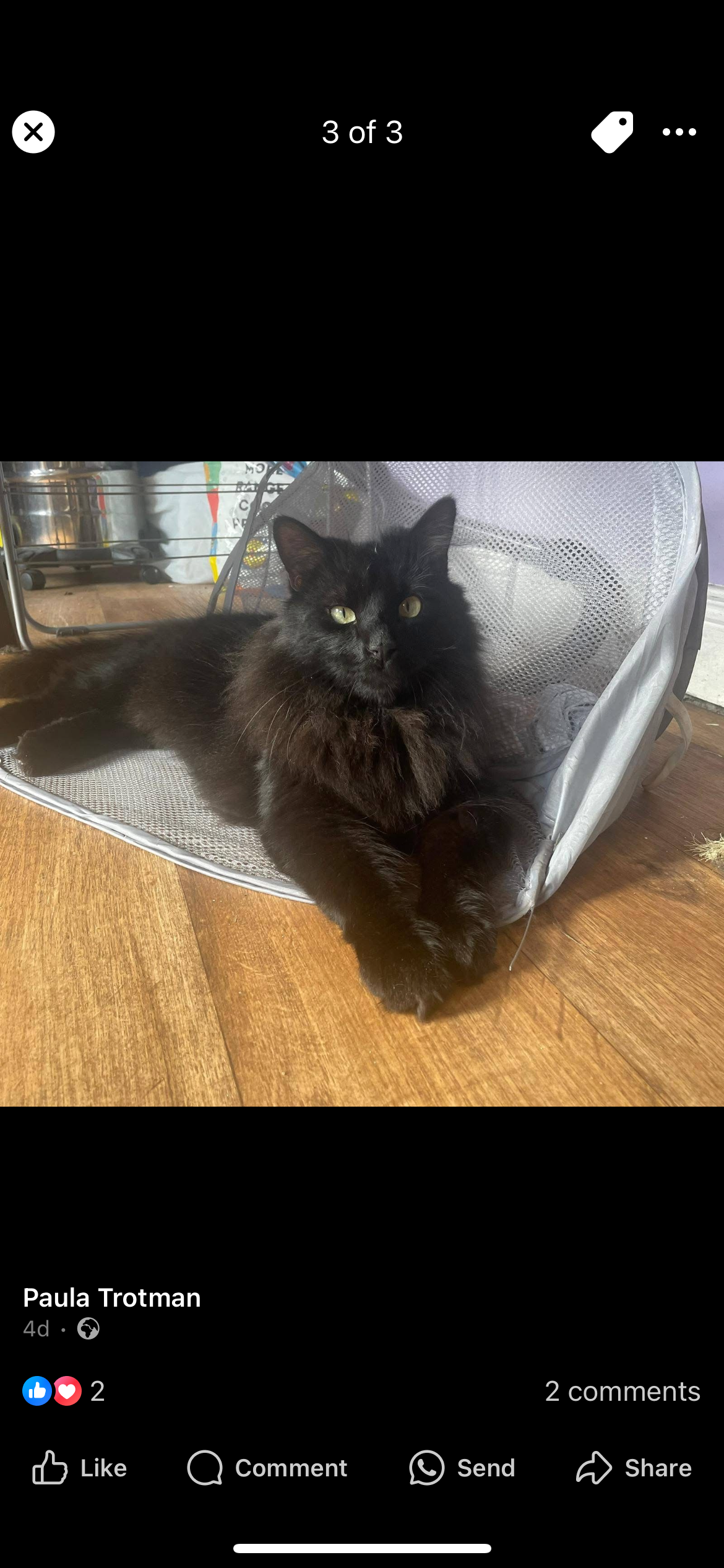 George - Chapel View, Kilcock