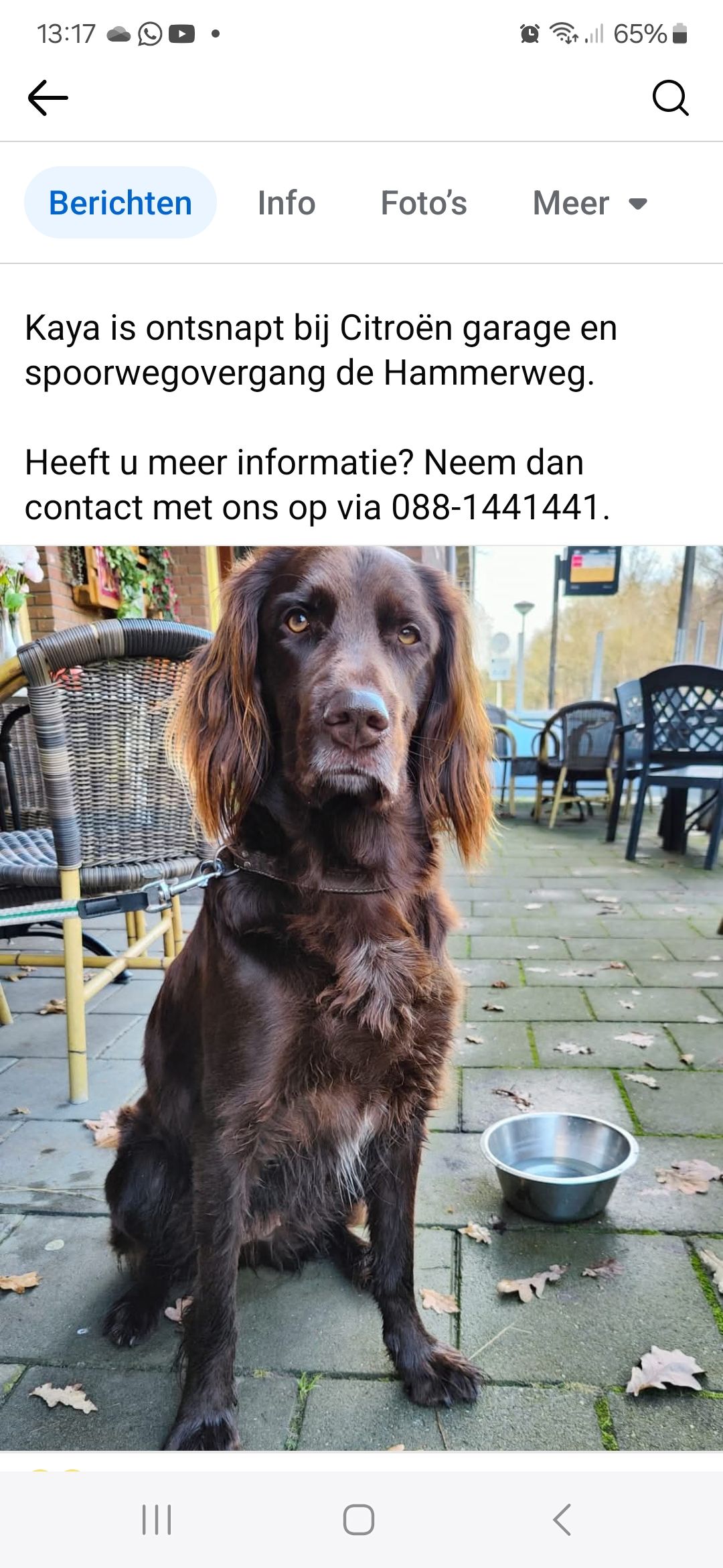 Kaya - Stationsweg, Ommen