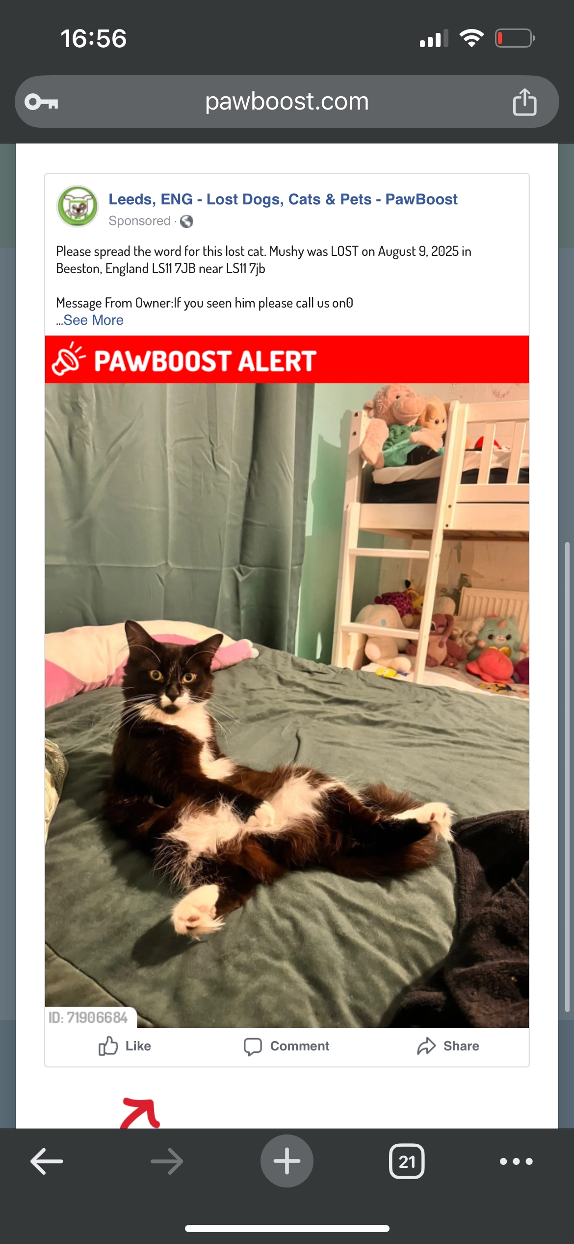 Sylvester or Mushy - LS11 7, Leeds