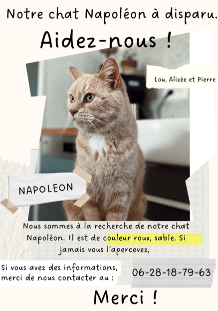 Napoléon - Rue De L'abbaye, Longues-sur-Mer