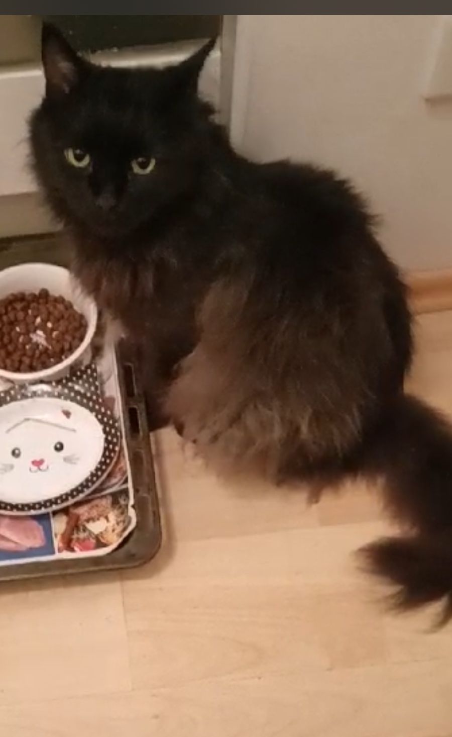 Mark - Innstraße, Passau