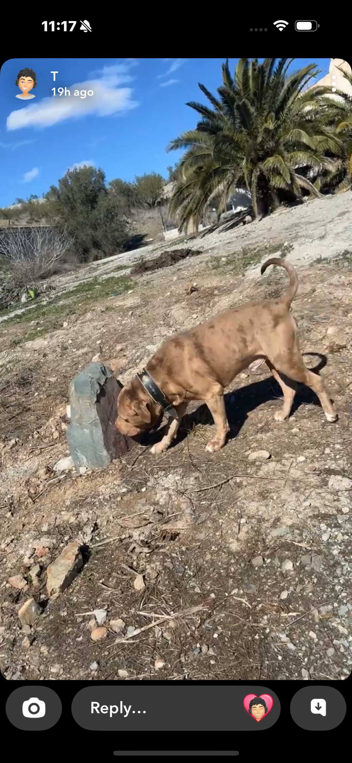 Ralphy - 30890, Lorca