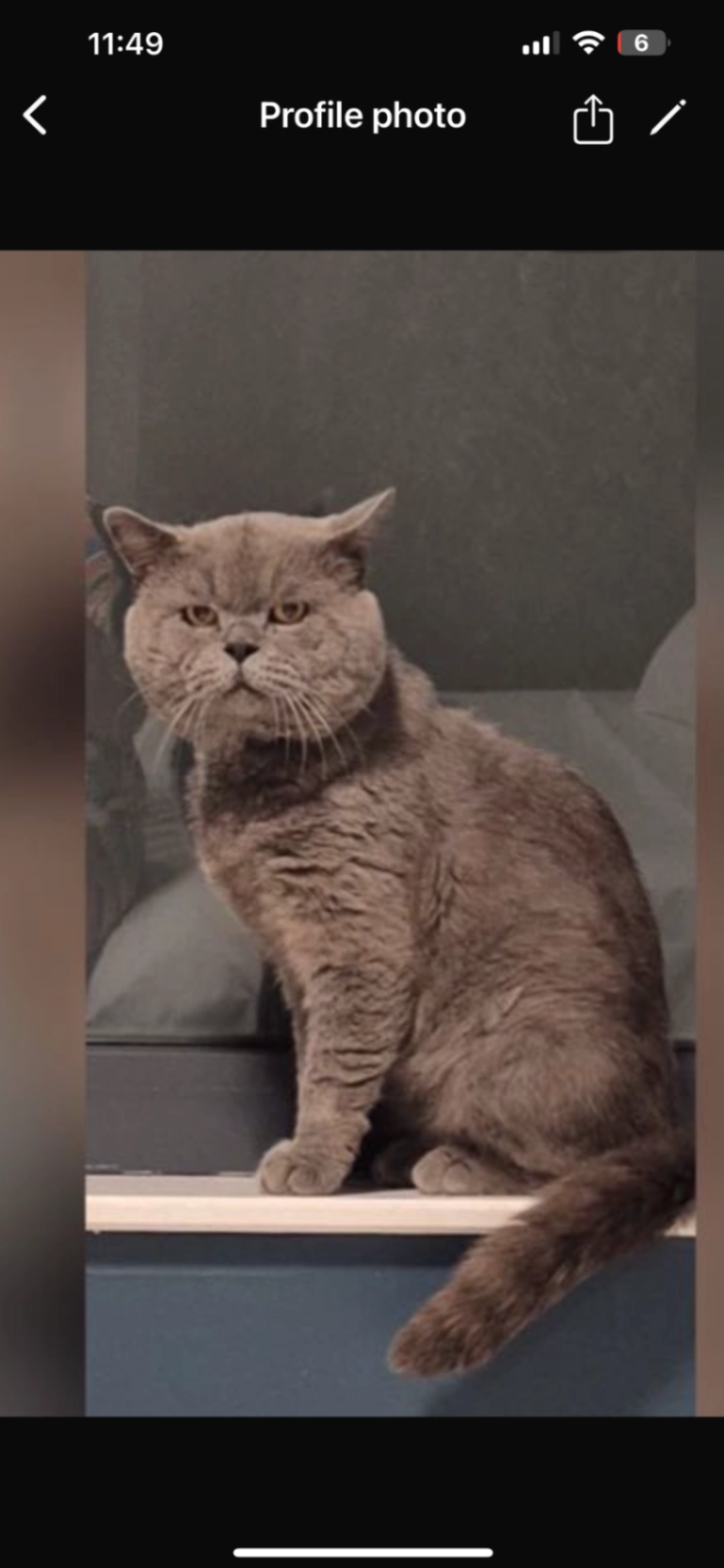 Mario - New North Road, Ilford