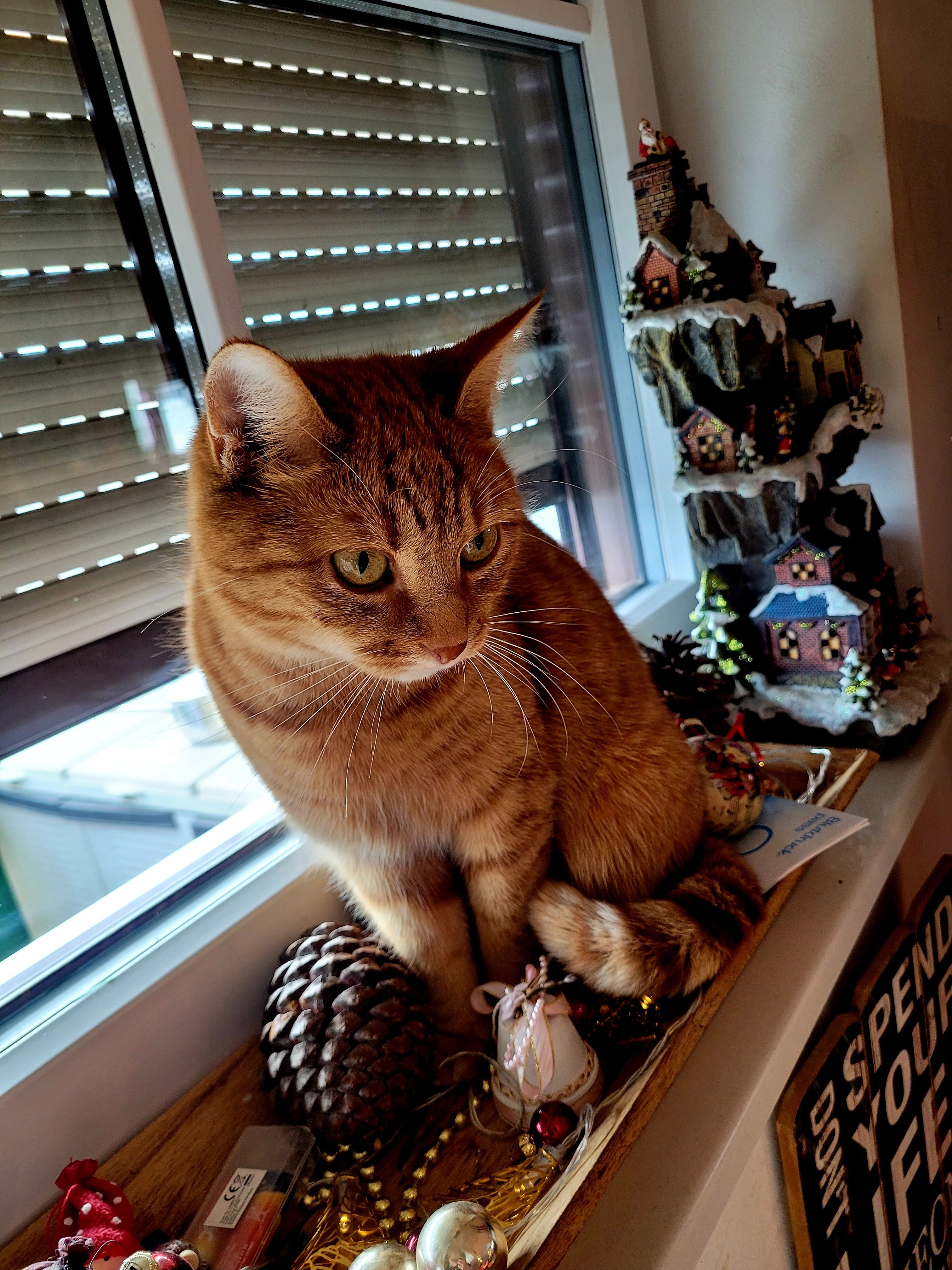 Fely  - Kranach 75, Leutschach an der Weinstraße