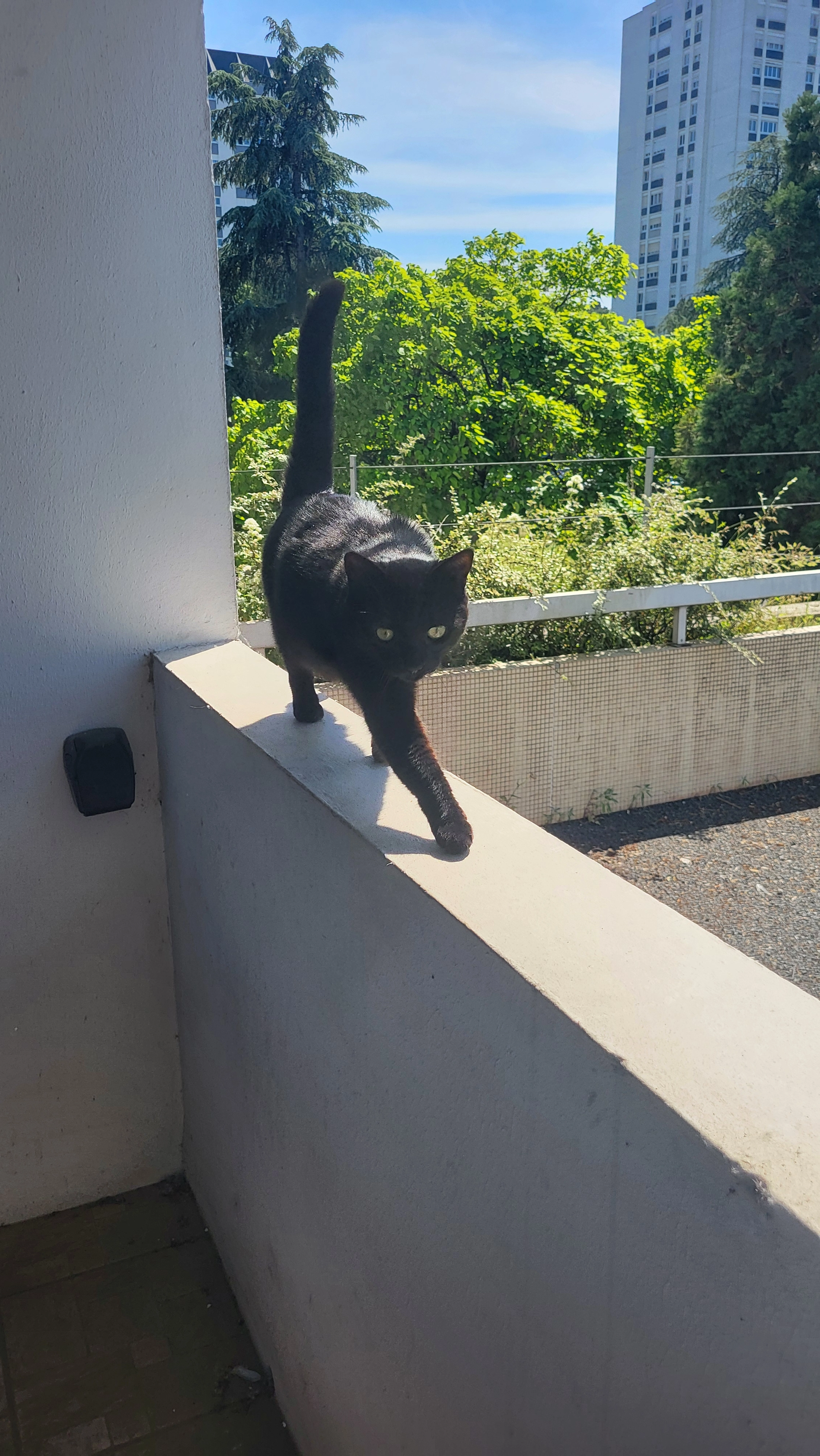 Stella - Rue Victor Jacquemont, Tours