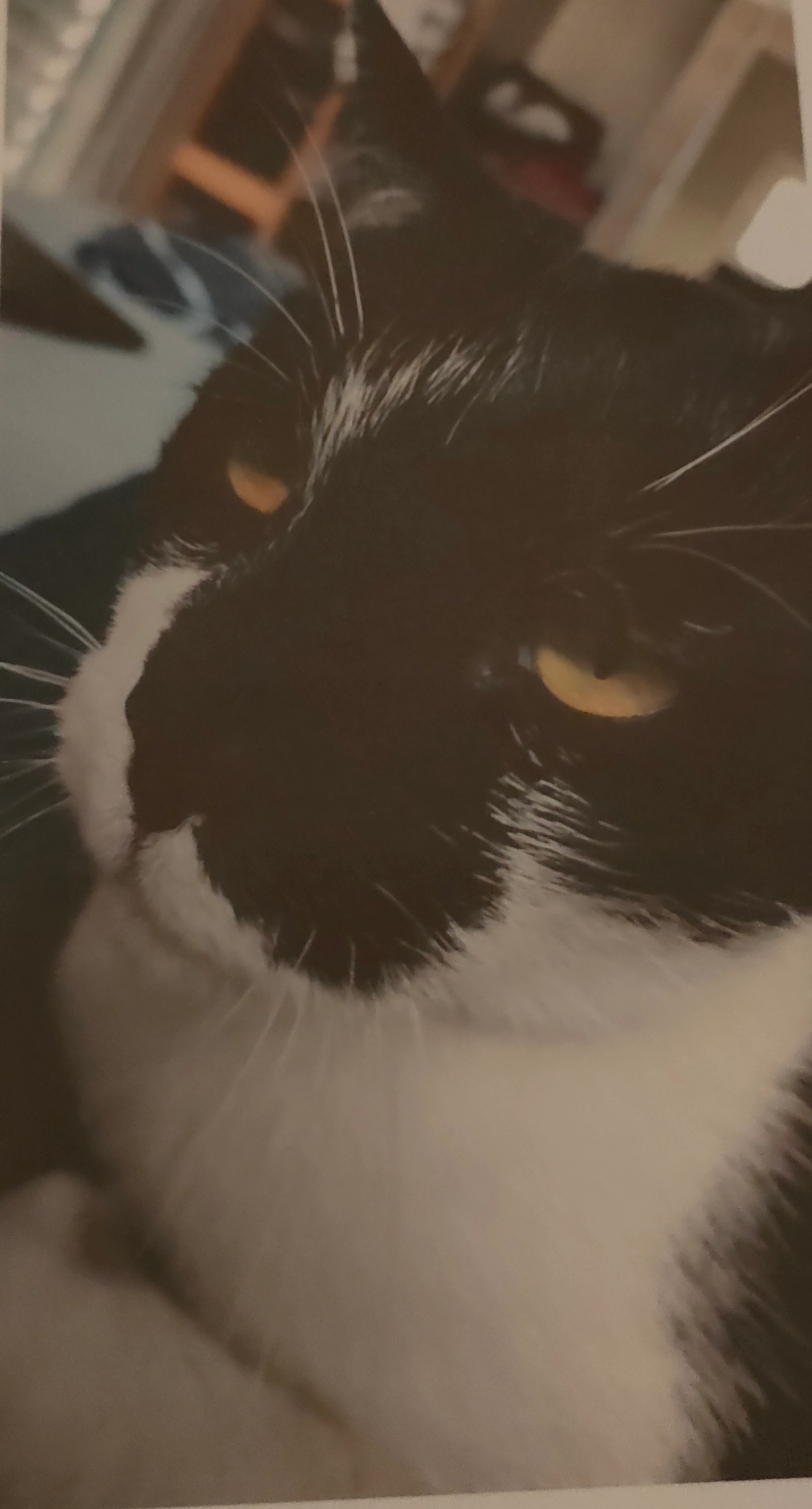 Kenny  - Route de la Cierne 91, Châtel-Saint-Denis