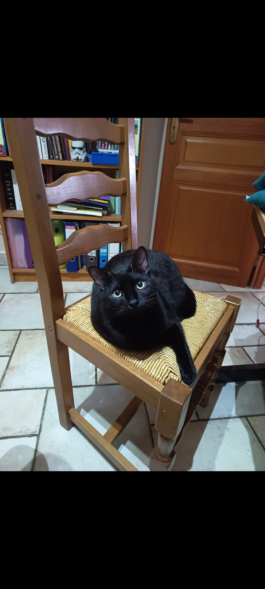 Solly - 29 Allée de Carpentras, Colomiers