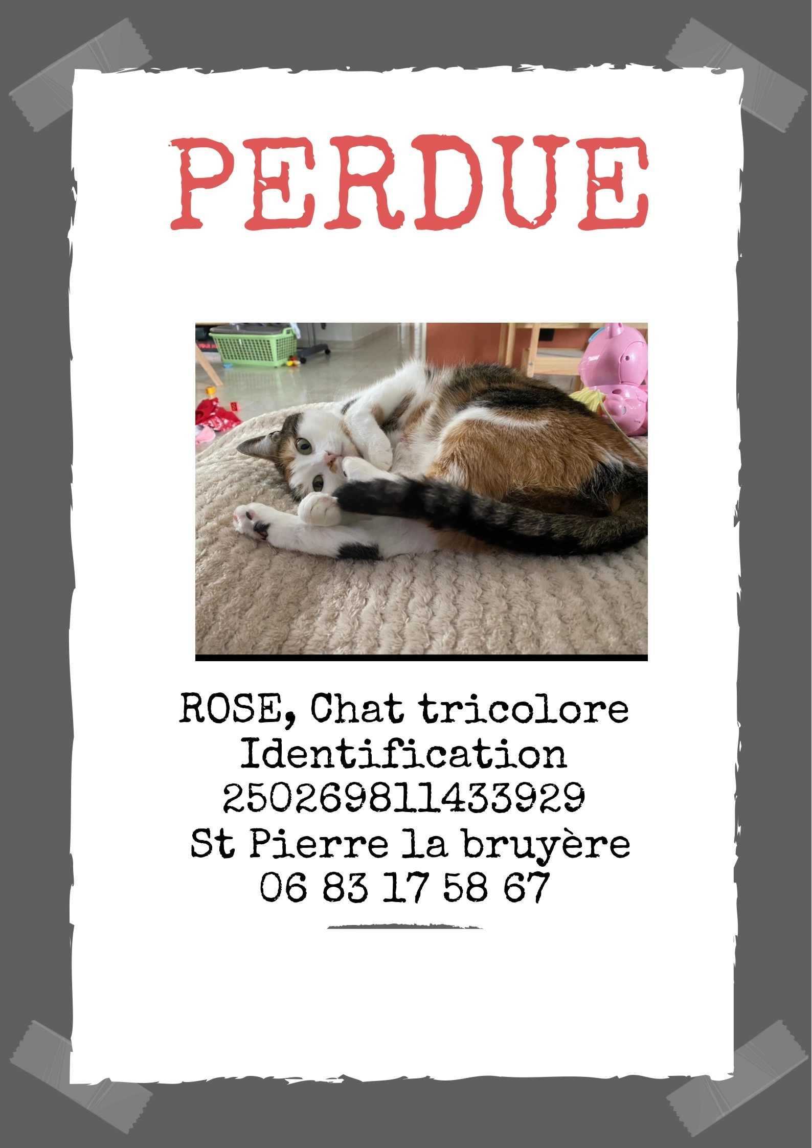 Rose CABON  - 5 Allée René Dumont, Saint-Pierre-la-Bruyère