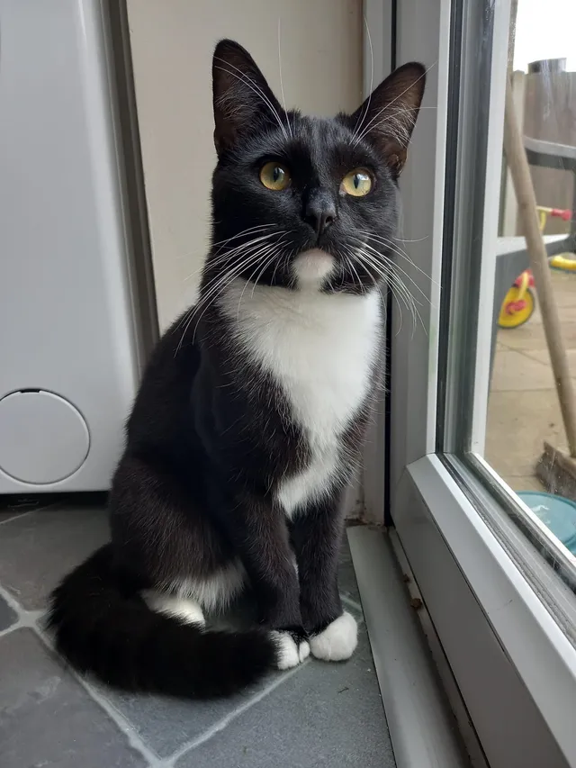 Tux - DE15 0, Burton upon Trent