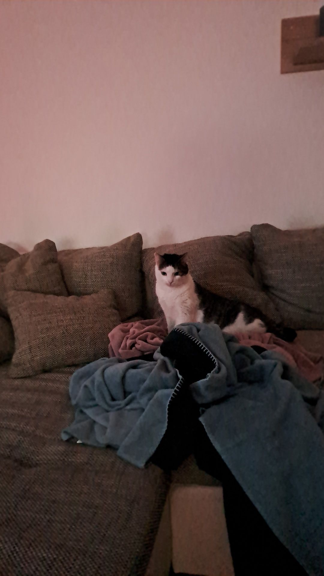 Mona - Weichselstraße, Sulingen