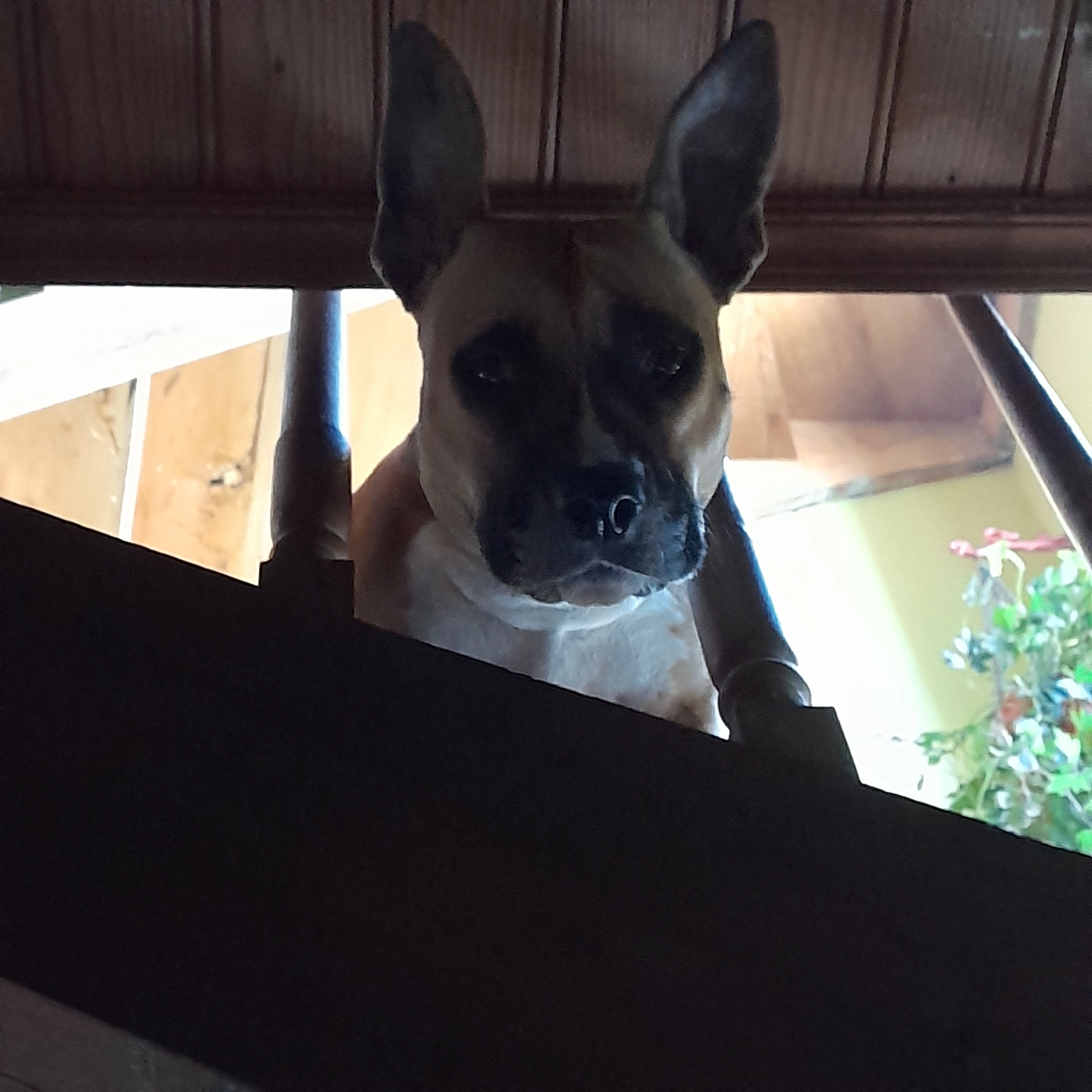 Rosie - 47290, Moulinet