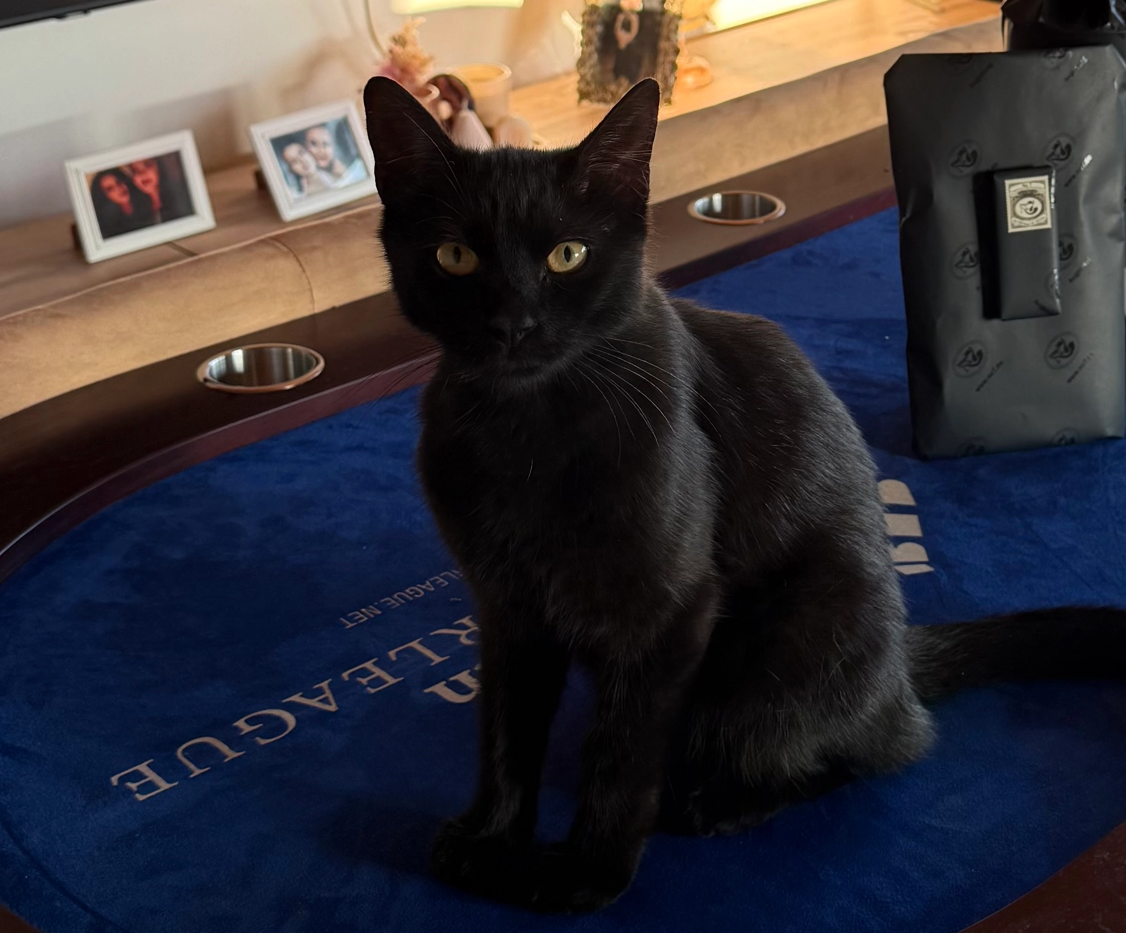 Aslan - Messerschmittring, Königsbrunn