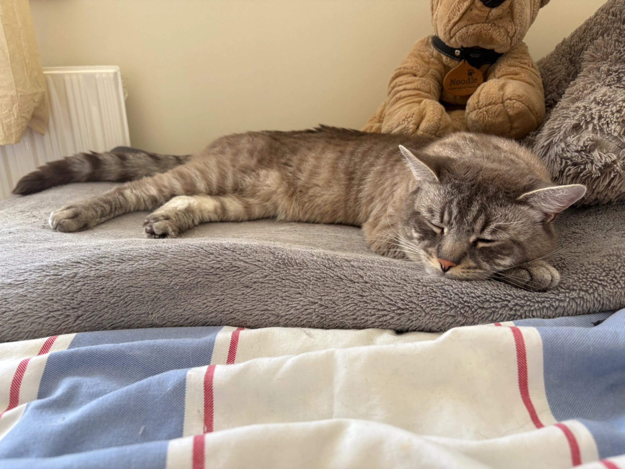 Blue - Fiddlers Lane, Chester