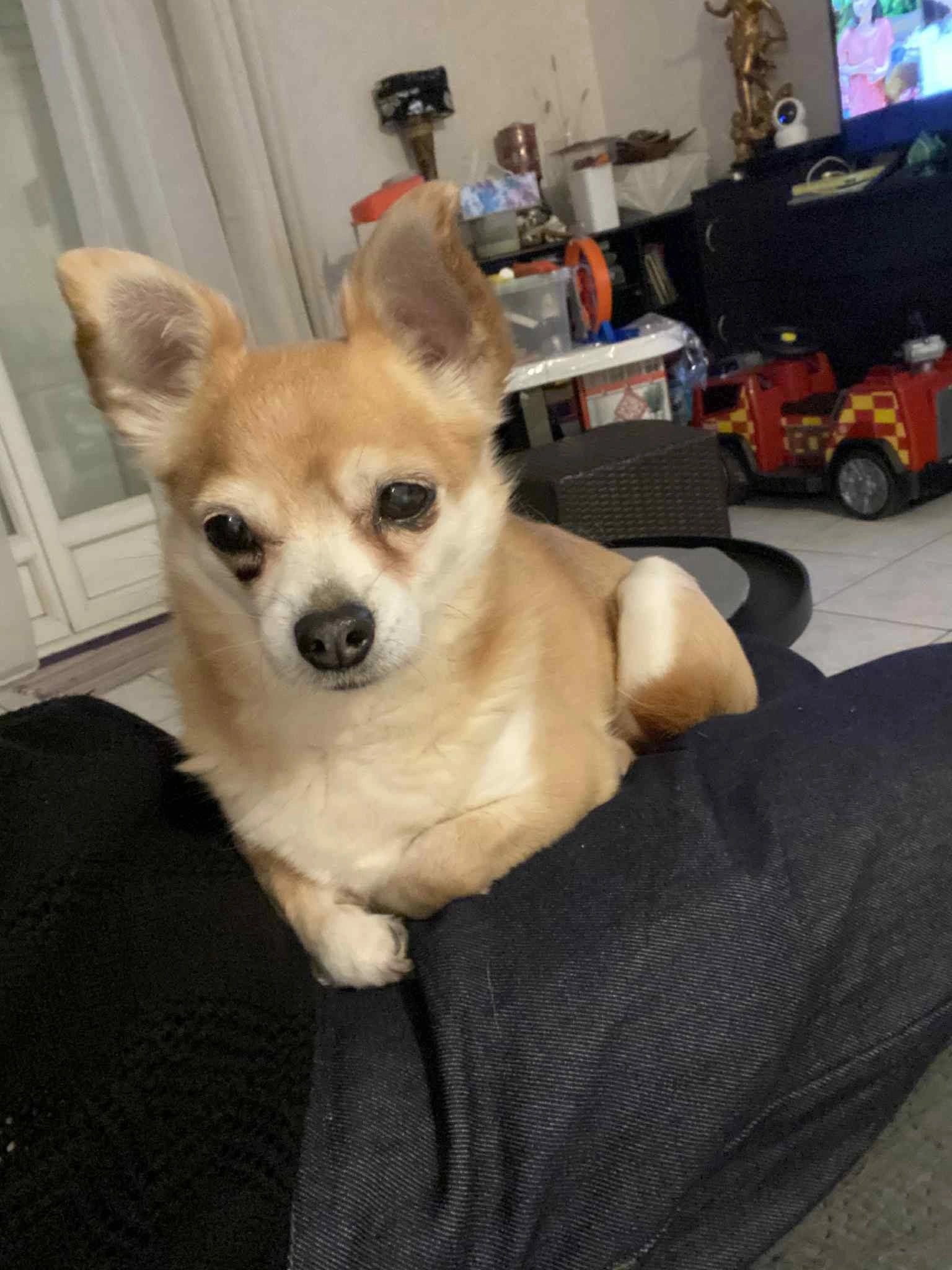 Liona - Route de la Brauderie, Châteauroux