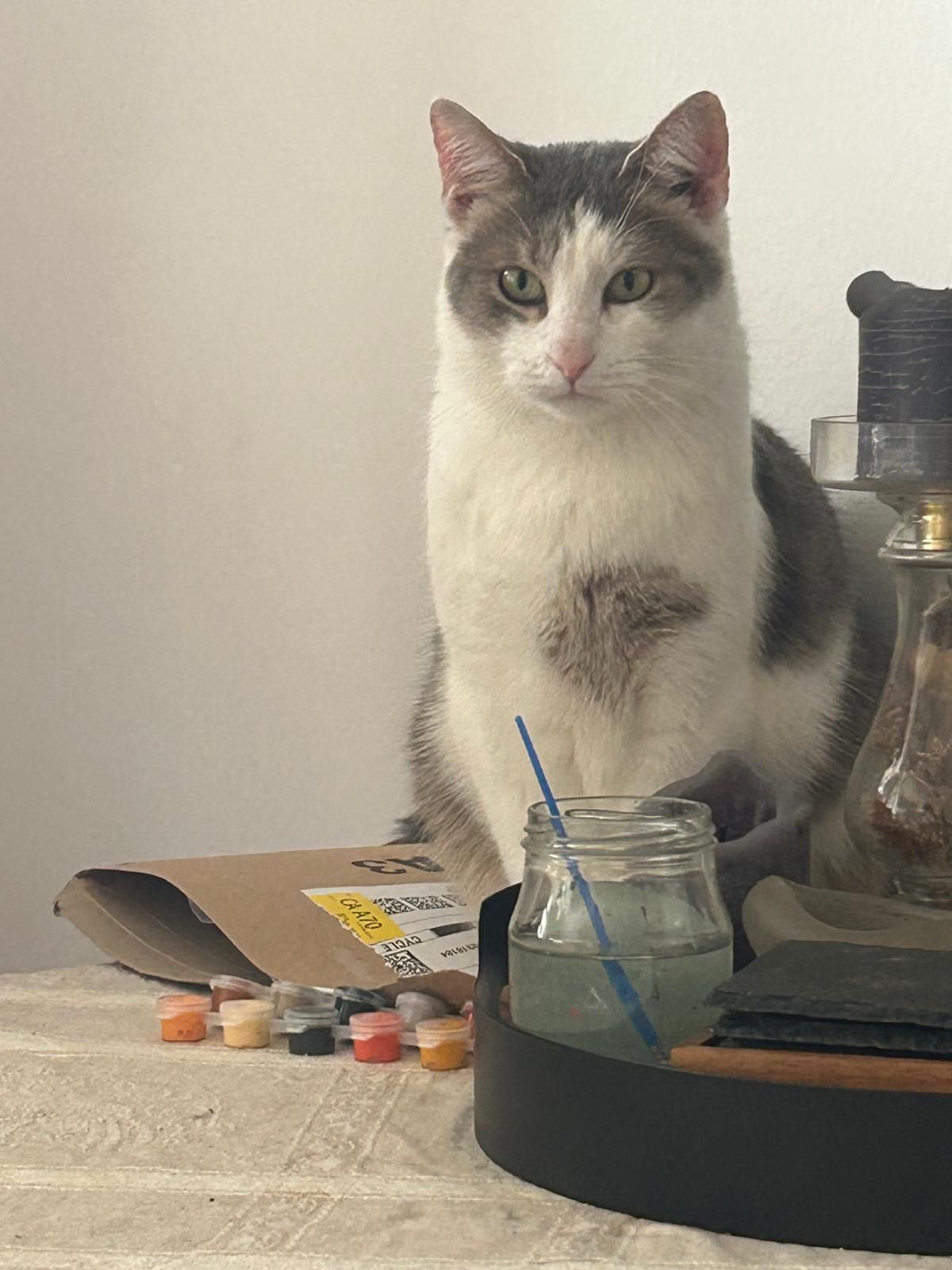 Legolas - Schärdinger Straße, Ried im Innkreis