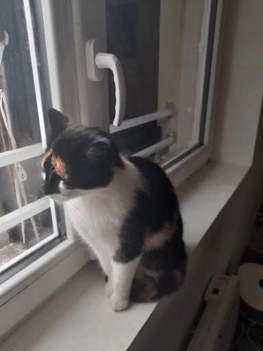 Salomé  - Place Des Maraîchers, Laon