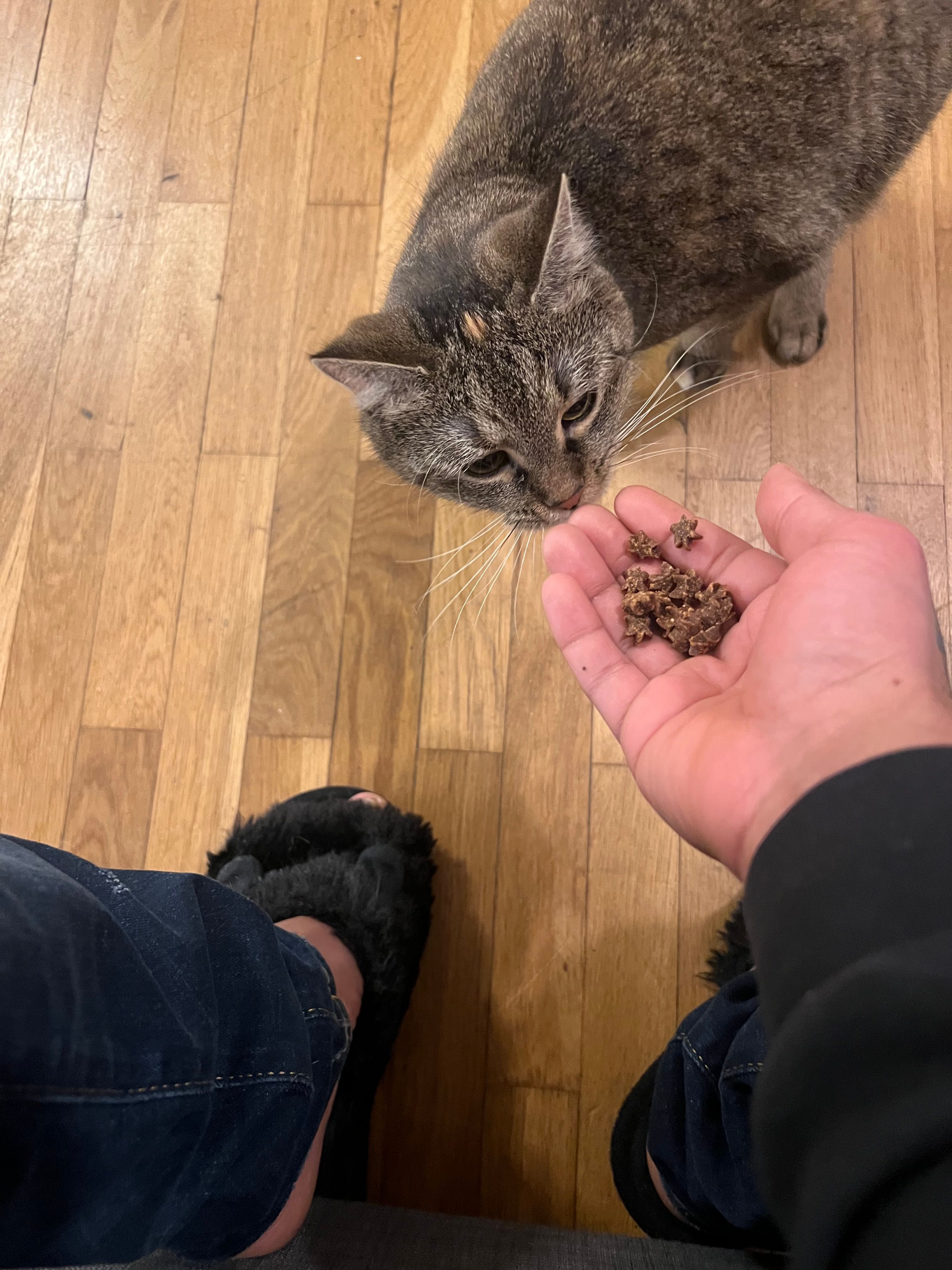 Kali - Korunní, Praha