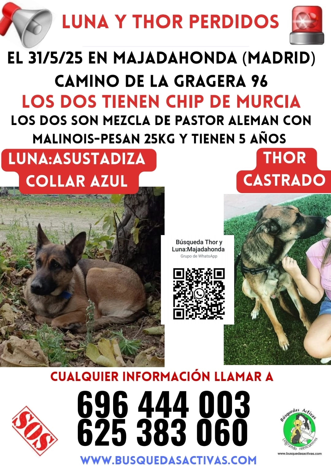 Thor - Camino Grajera, Majadahonda