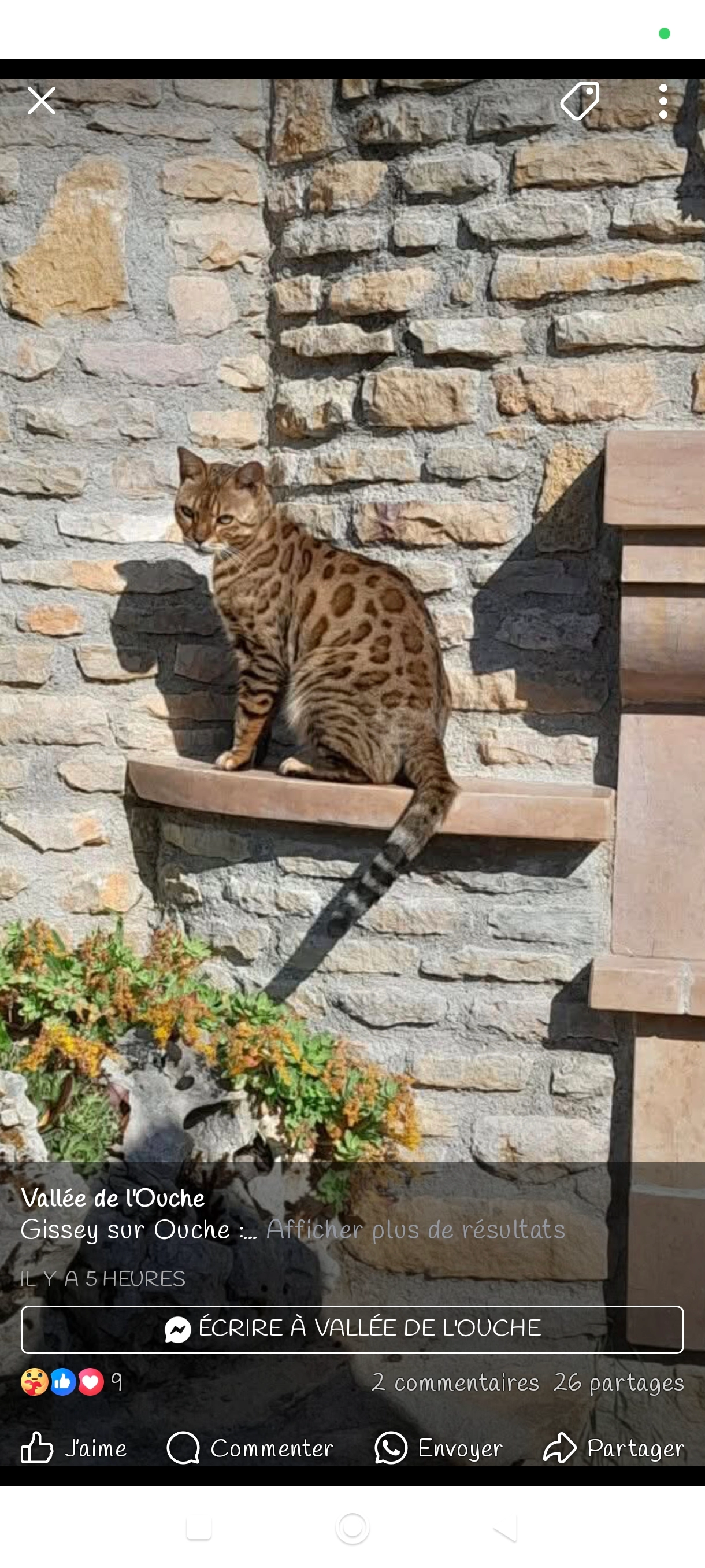 Oreo - Rue De Veluze, Gissey-sur-Ouche