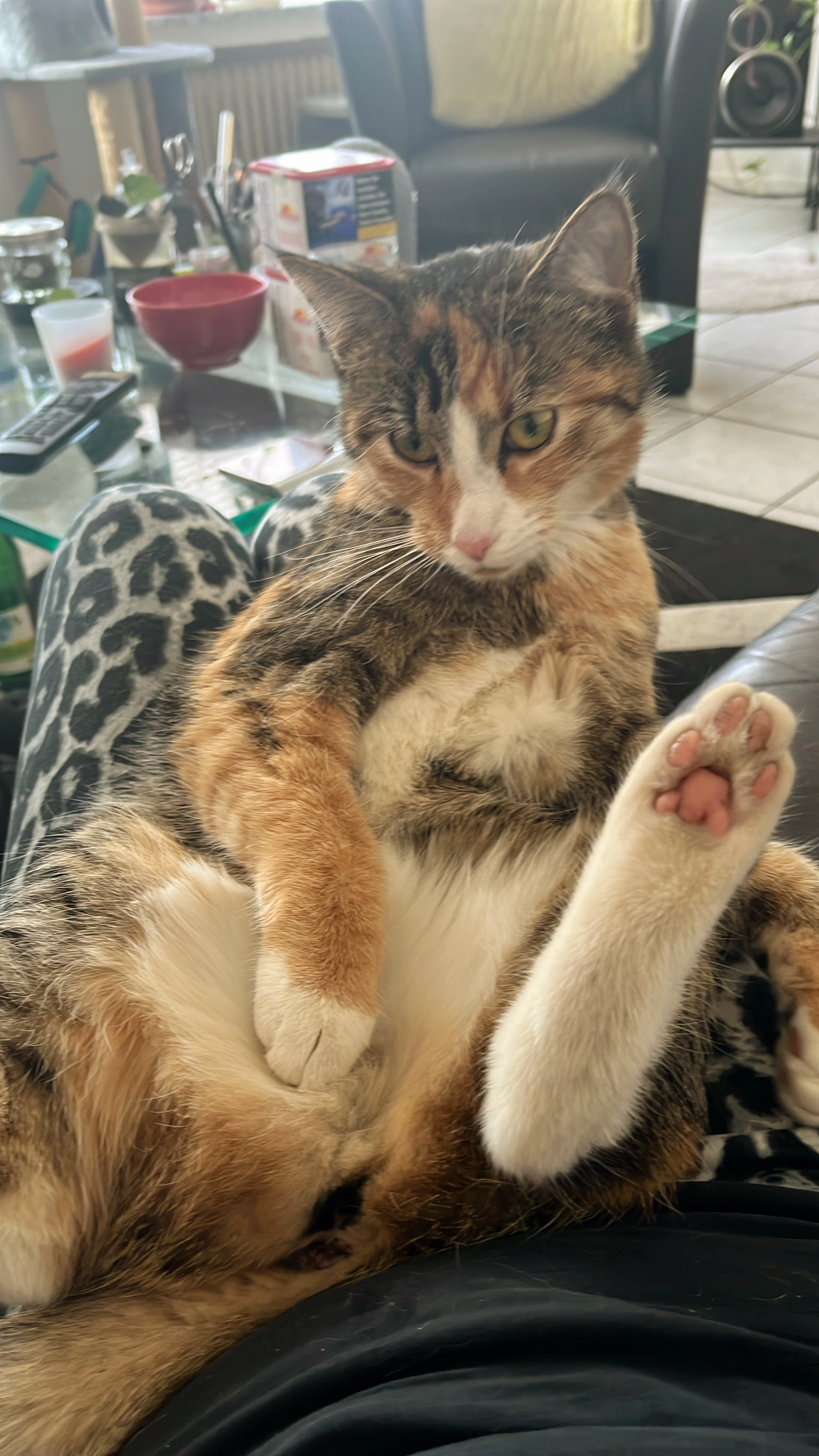 Emma - Gahlener Straße, Dorsten