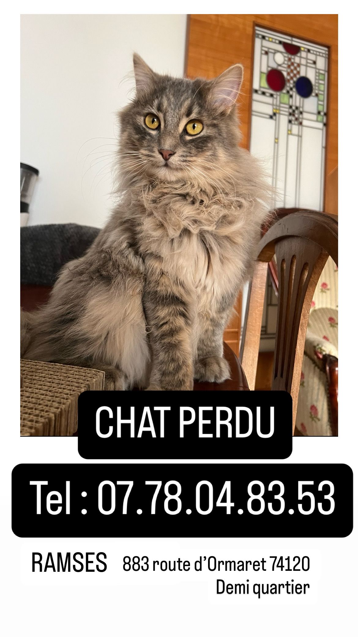 Ramses - 883 Route d'Ormaret, Demi-Quartier