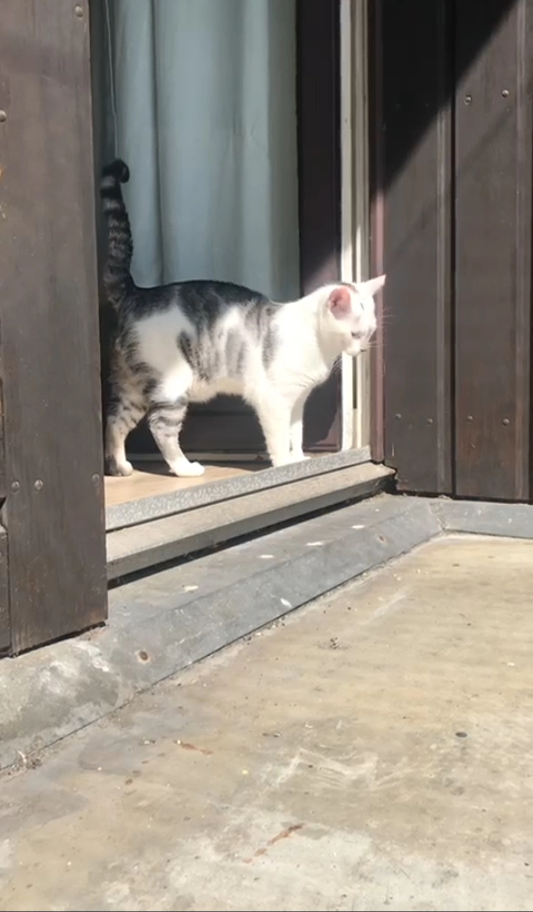 Haru - Ludwig-Nissen-Straße 47, Husum