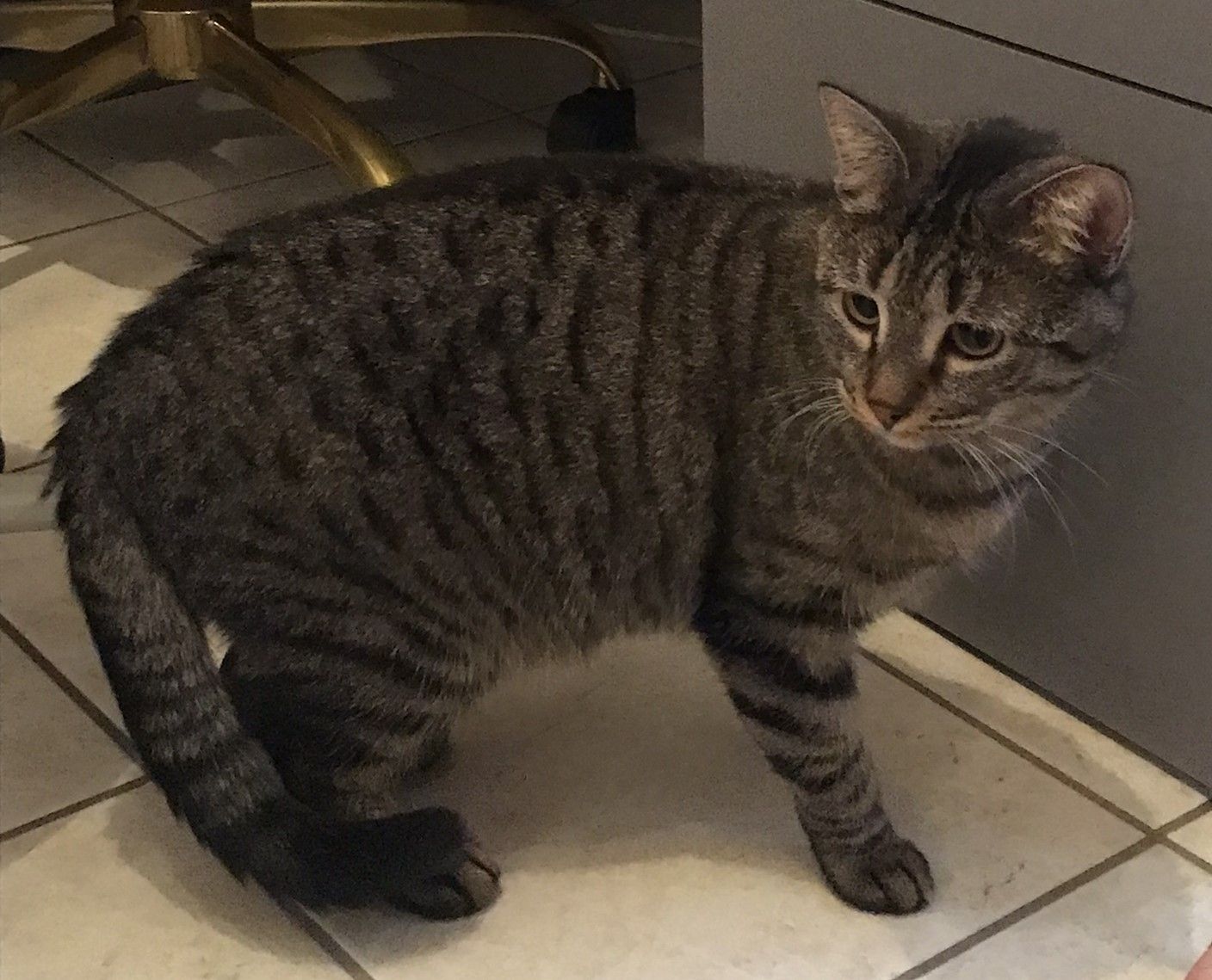 Luna - Rue des Violettes, Kienheim