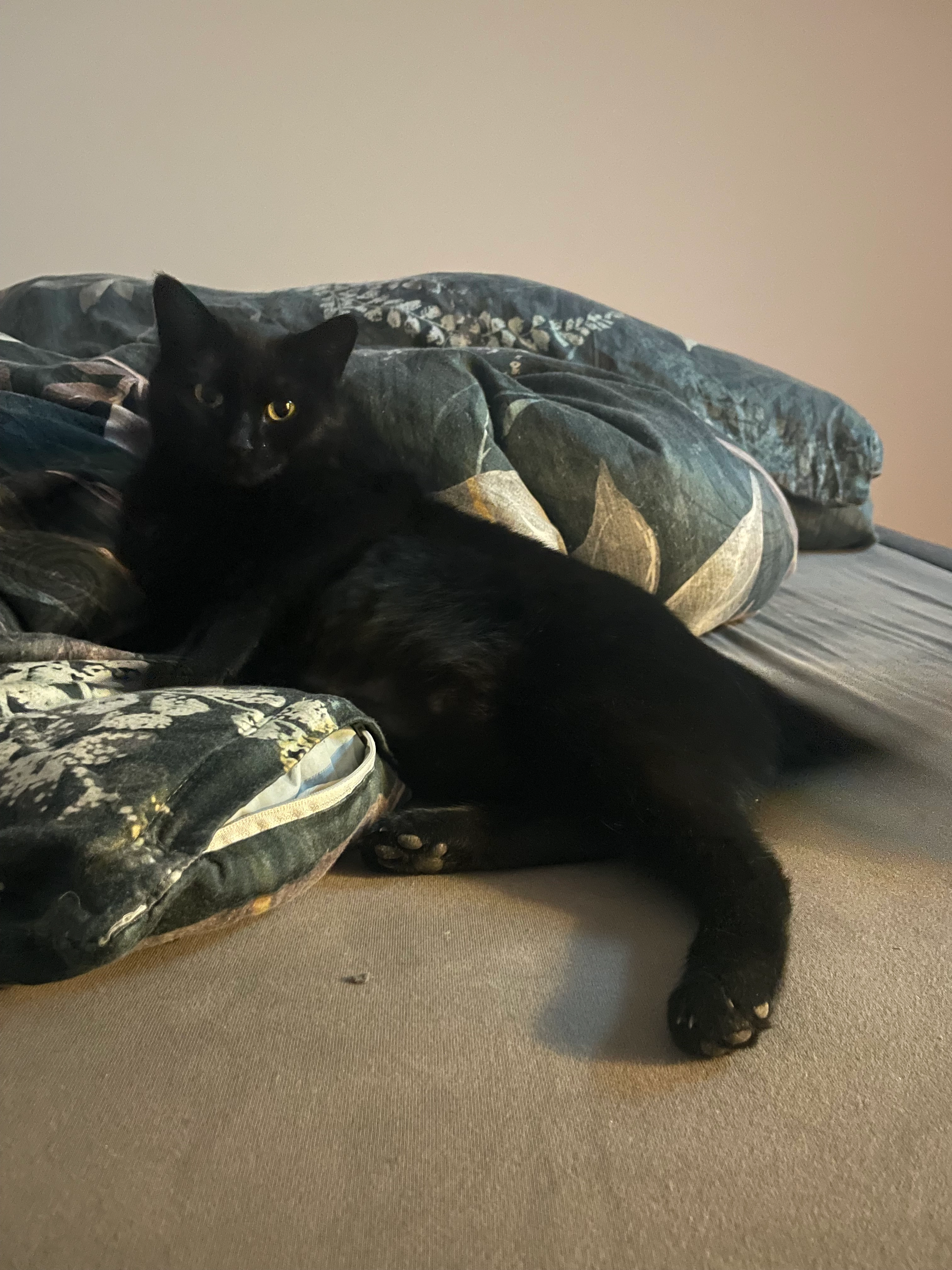 Ella - Stockacher Straße, Emmingen-Liptingen