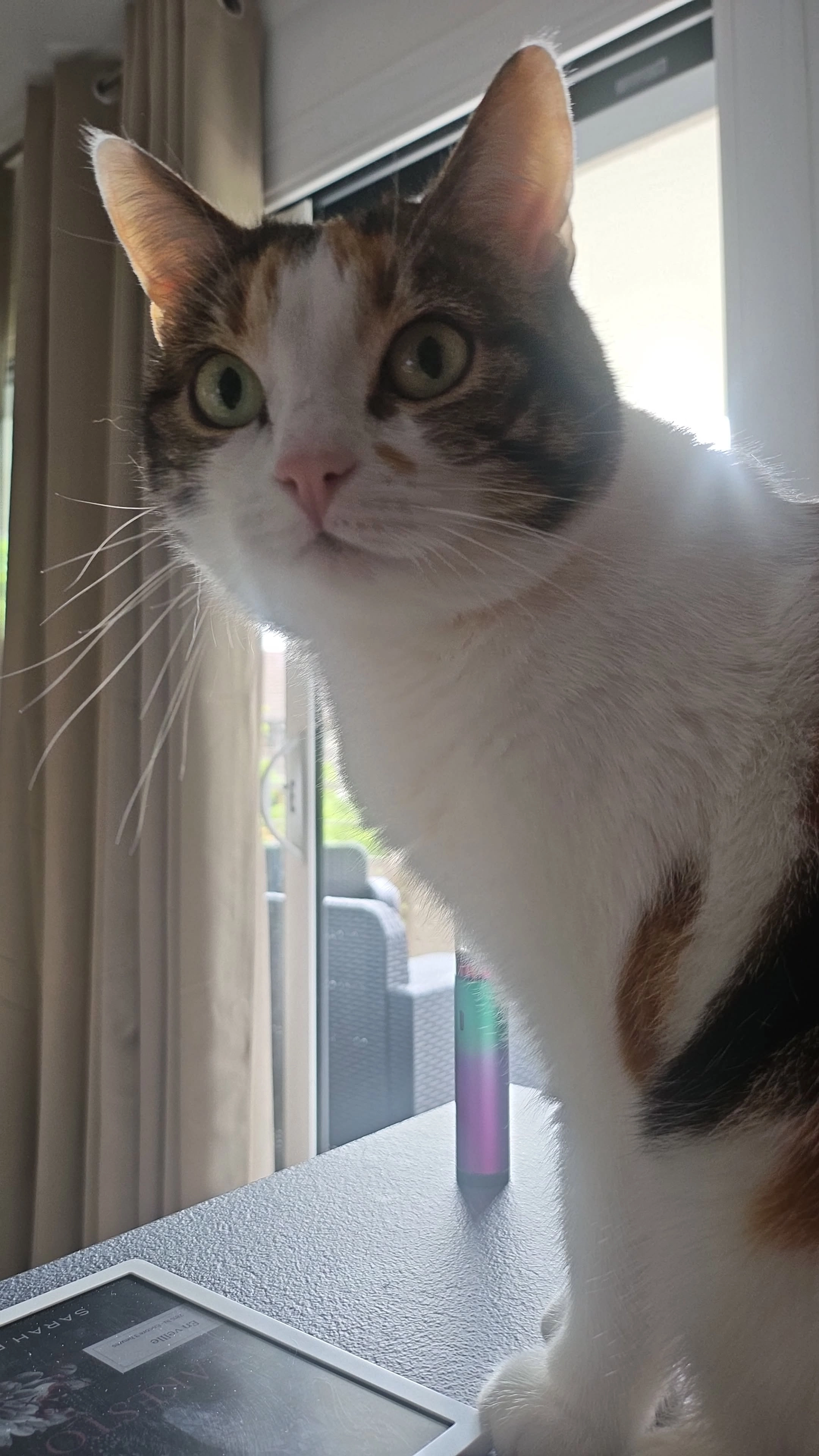 Blue - Quai du Général Claude Dorange, Bonneville