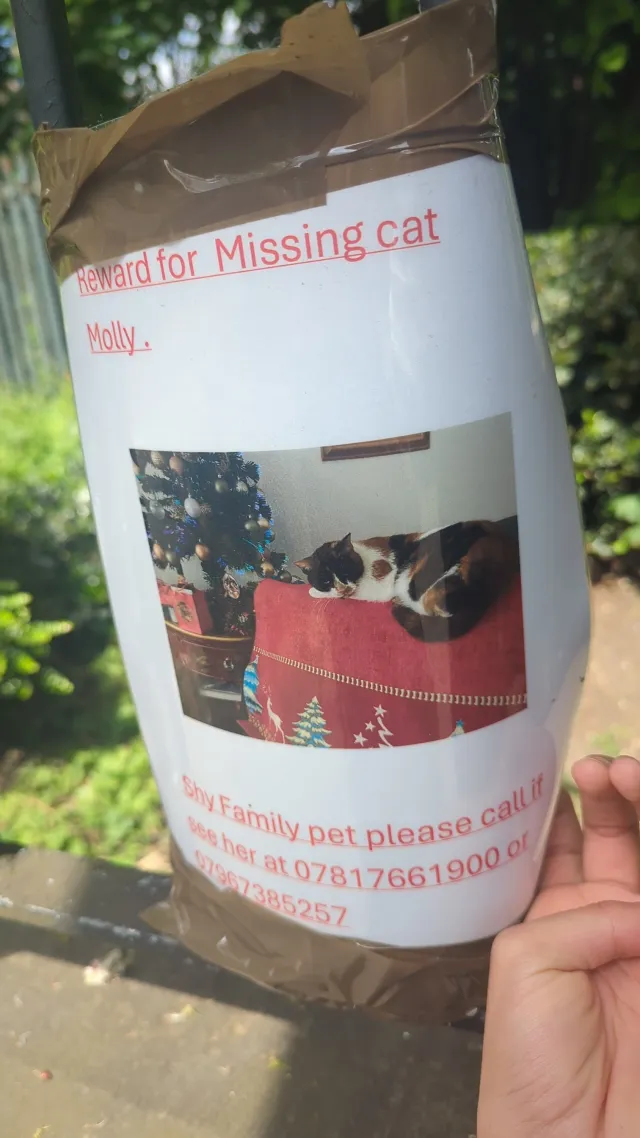 Shy - M21 0, Manchester