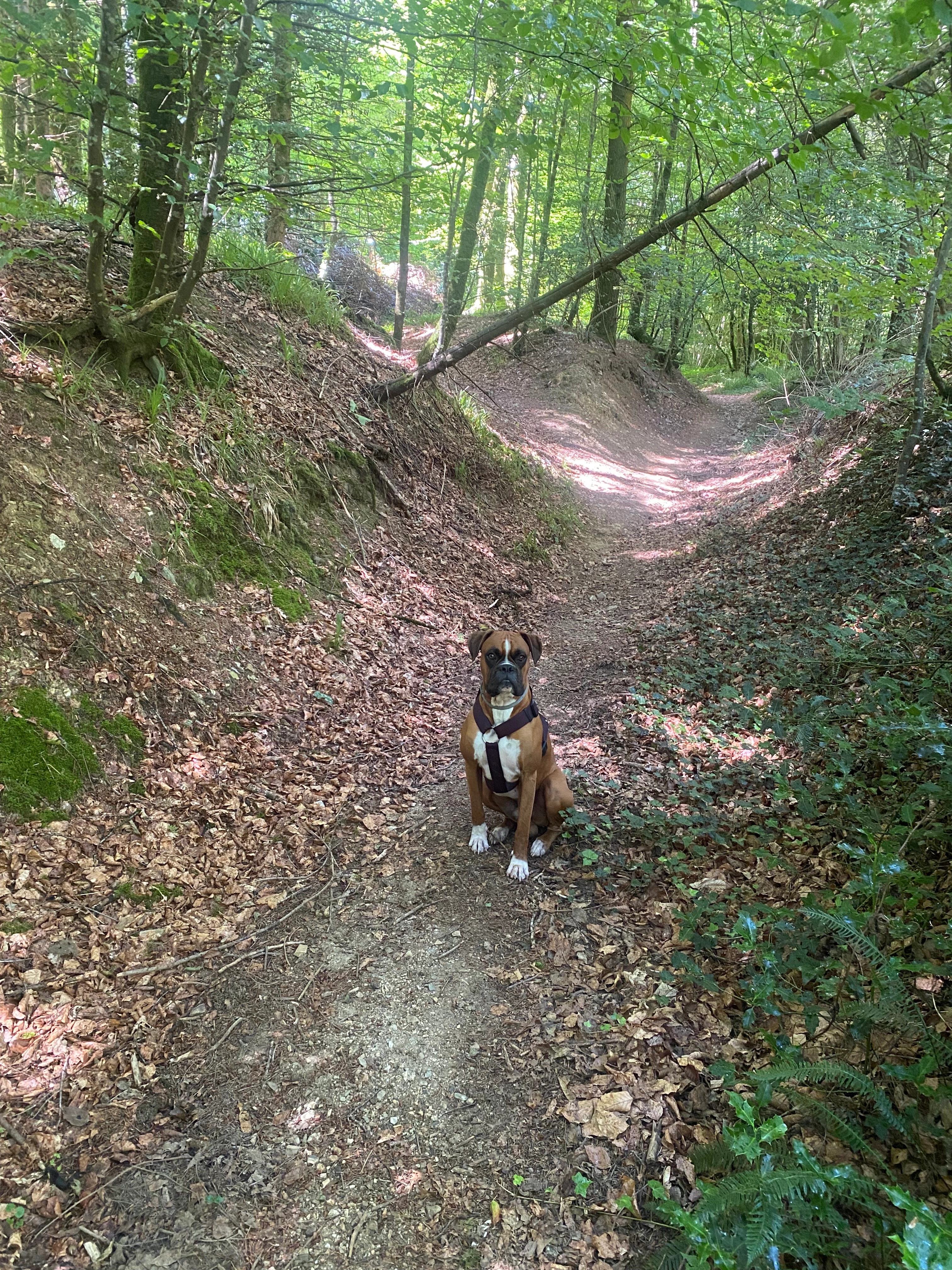 Toast - Chemin du Lac, Savères