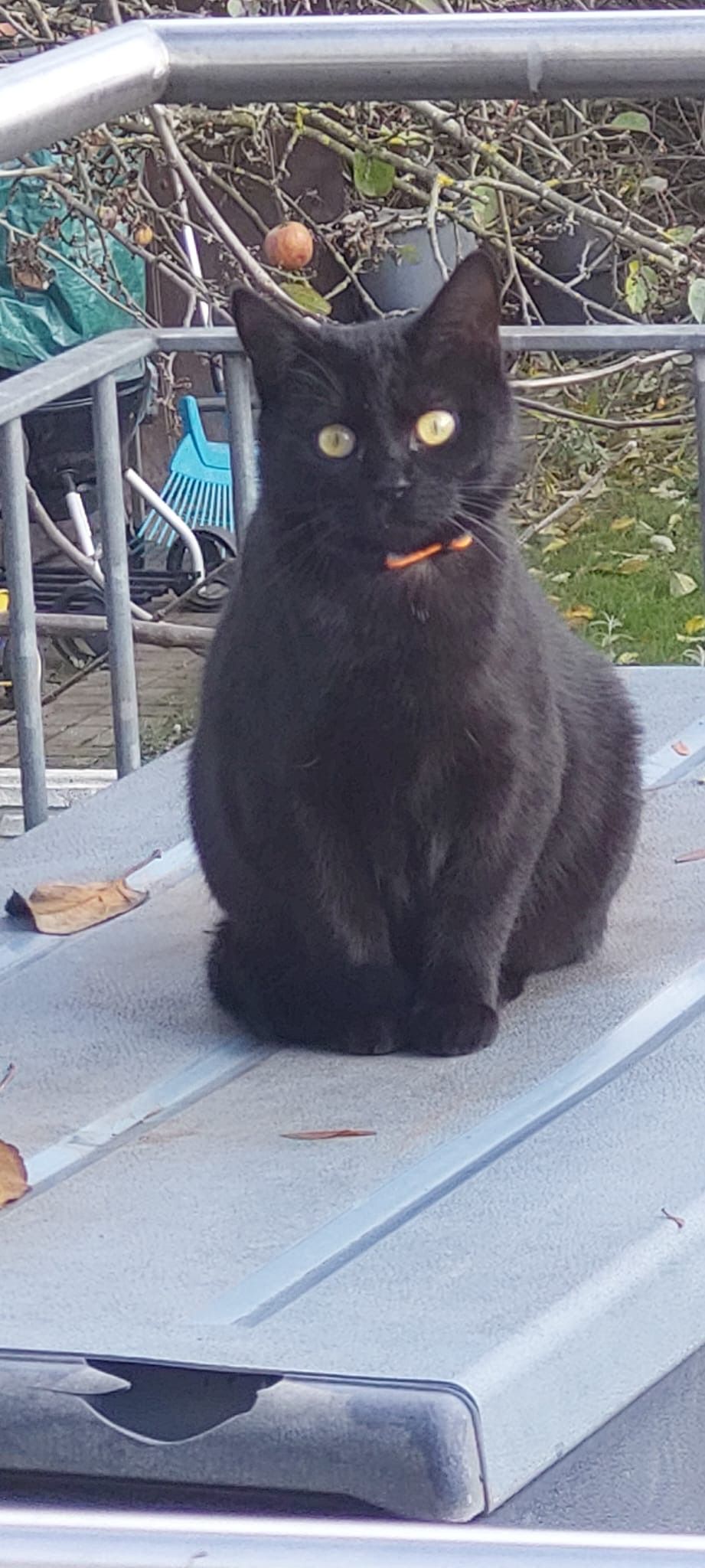 Resi - Eichenweg, Affing