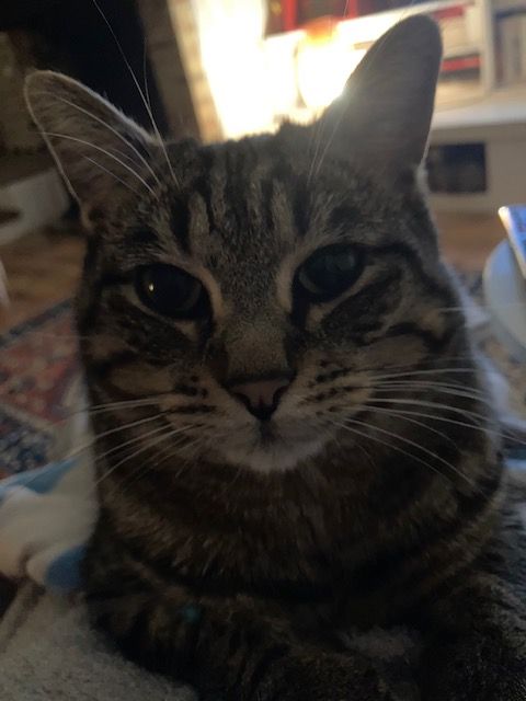 FILOU - Lieu Dit Le Maupas, Longny les Villages