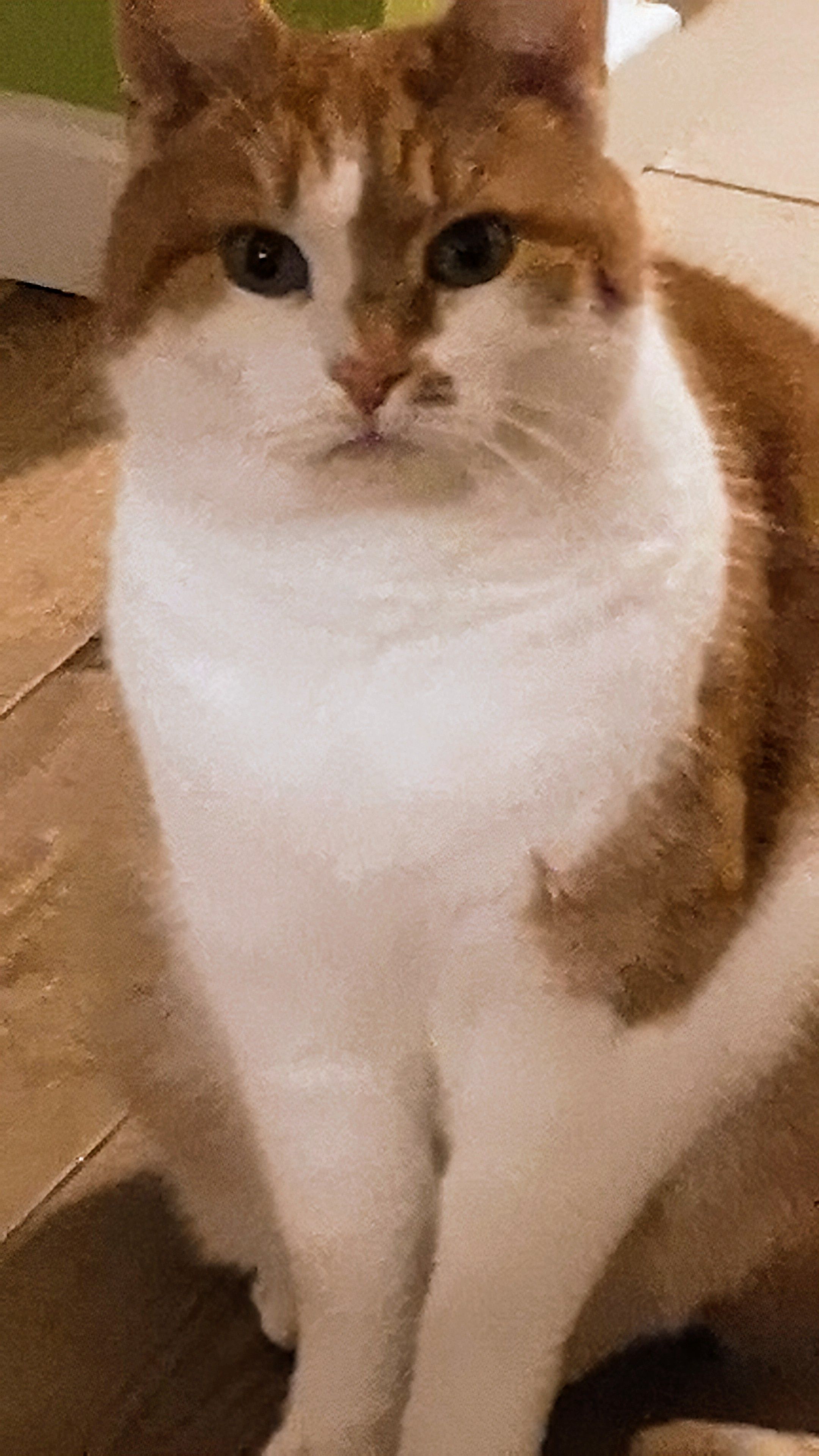 Findus - An Den Weiden, Börgerende-Rethwisch