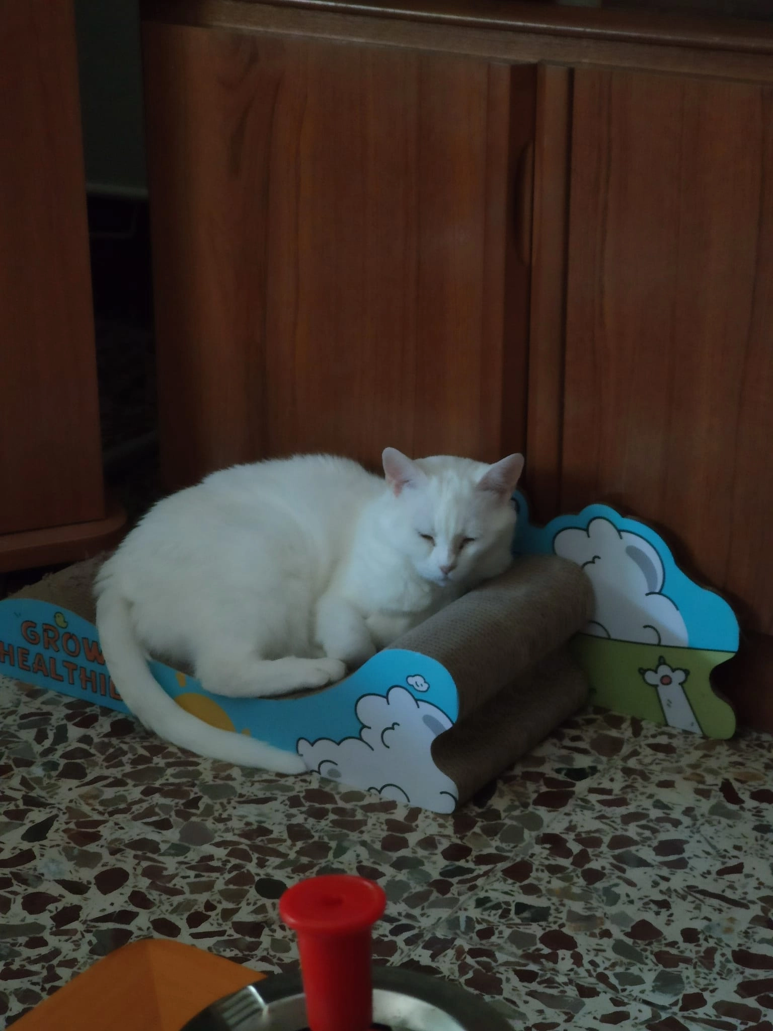 Iris - Urbanización Eras Allá, Santa María del Tiétar