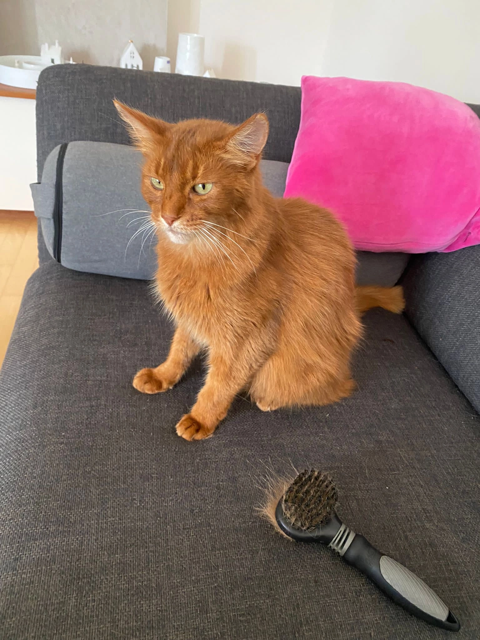 Pawnee - Propst-Zobel-Straße, Fulda