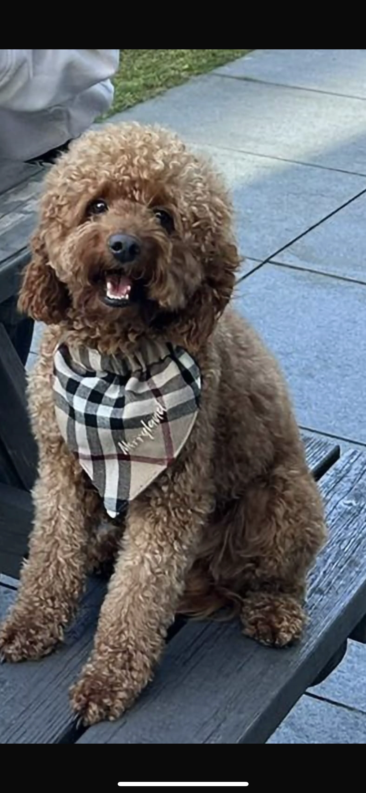 Benji - 's-Gravenweg, Rotterdam