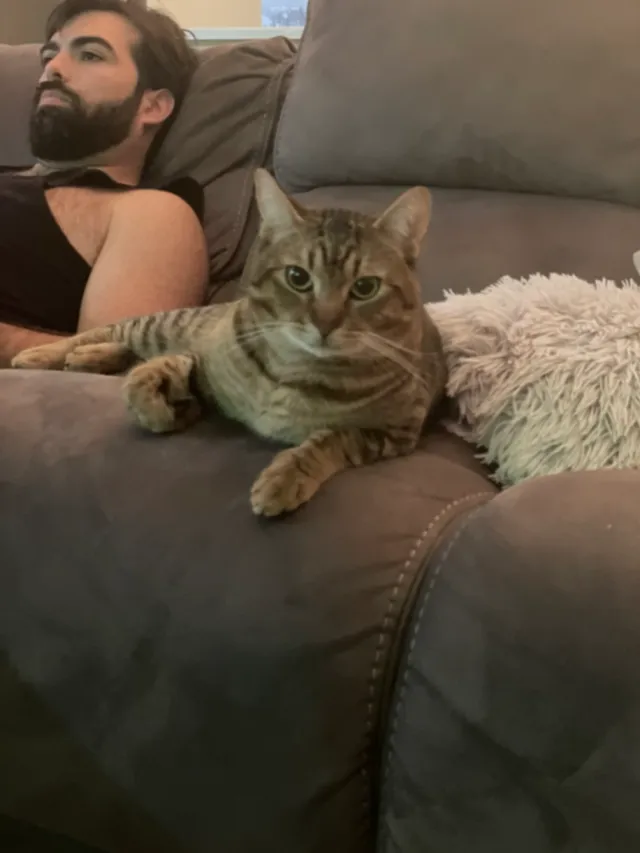 Sebastian - Granite Dr, Bethel