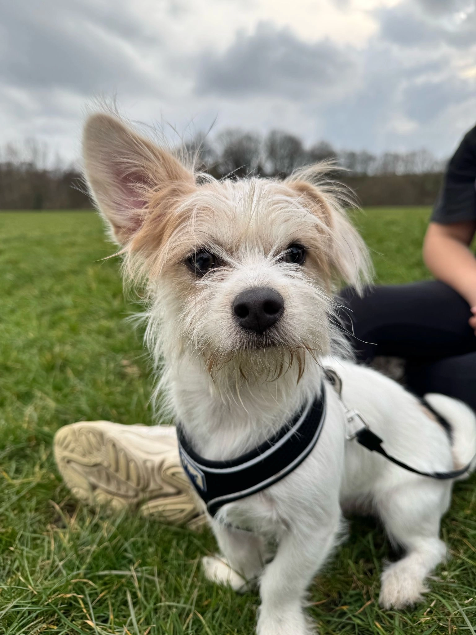 Russell - Ferngrove, Bury